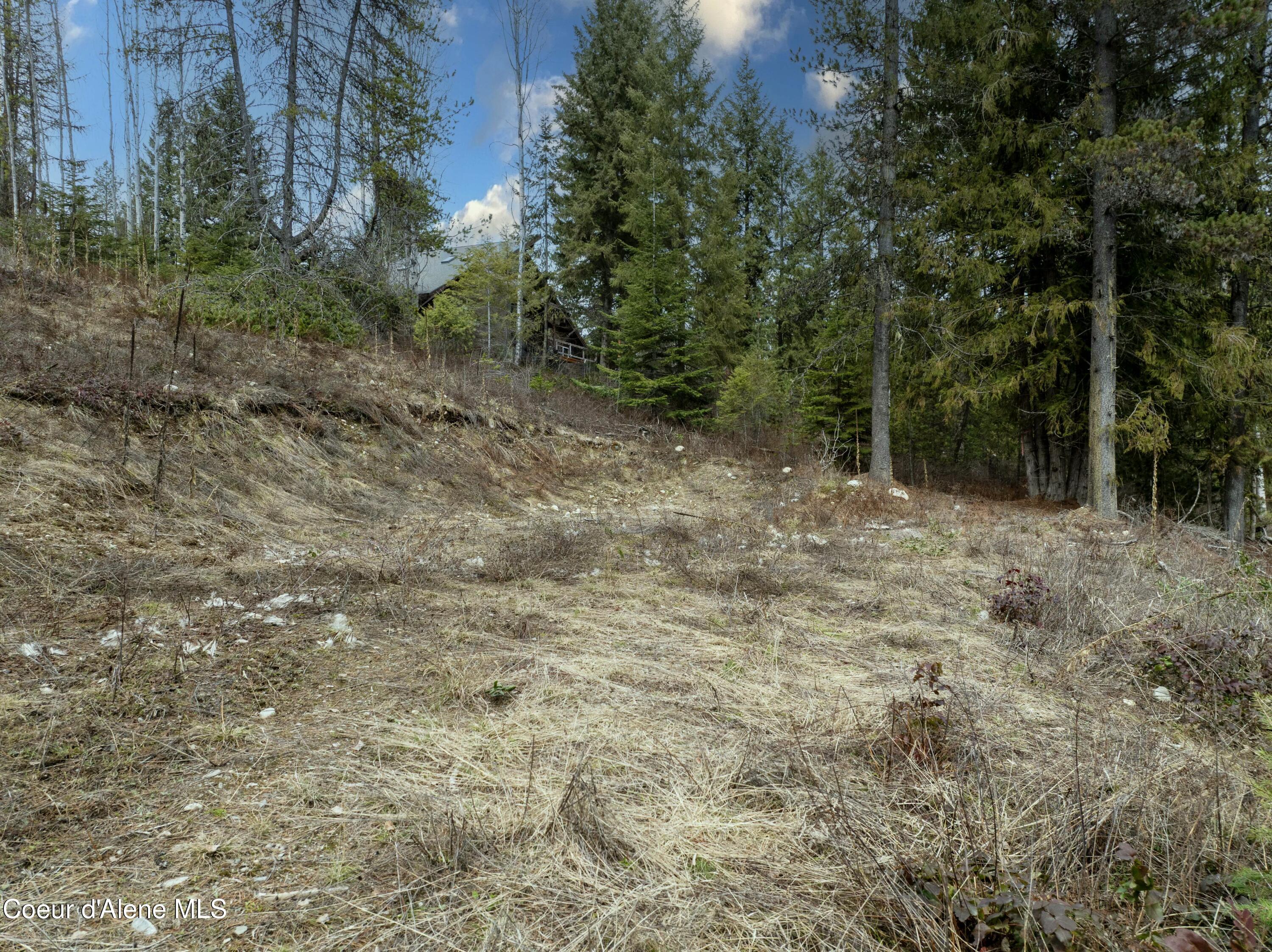 6825 W Lakeshore Rd, Priest Lake, Idaho image 6