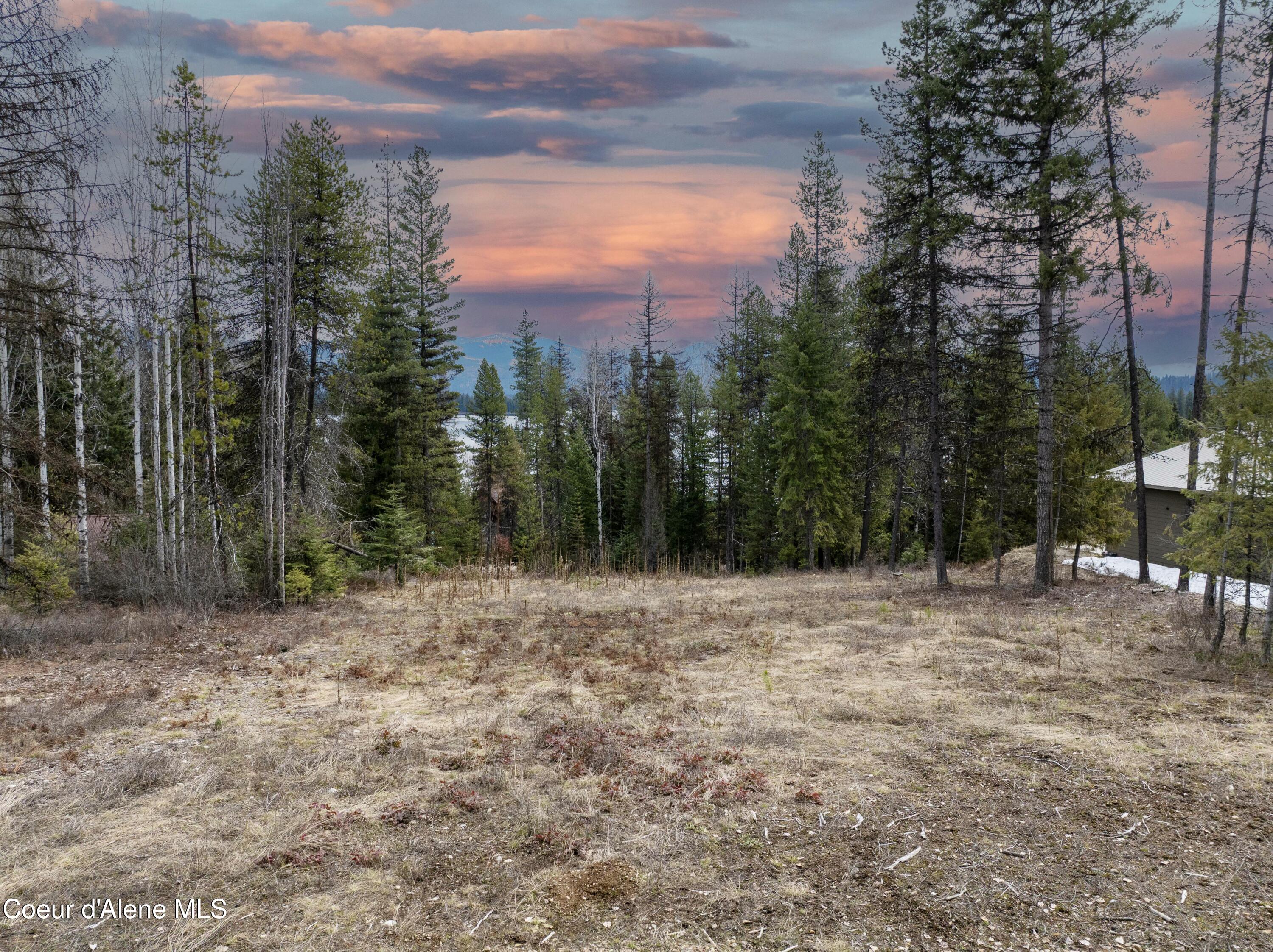 6825 W Lakeshore Rd, Priest Lake, Idaho image 1