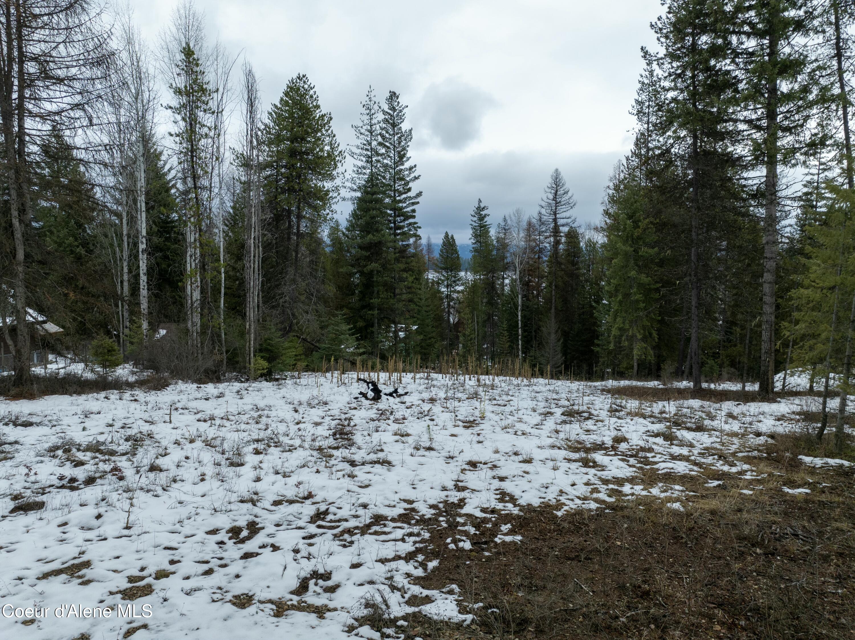 6825 W Lakeshore Rd, Priest Lake, Idaho image 8