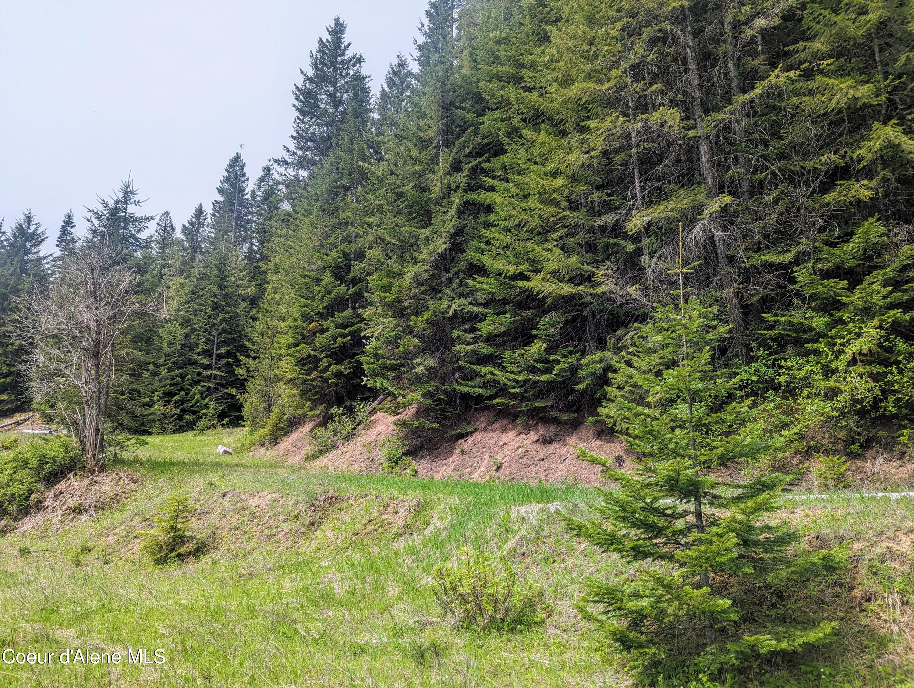 NKA Gold Ridge Road, St. Maries, Idaho image 20