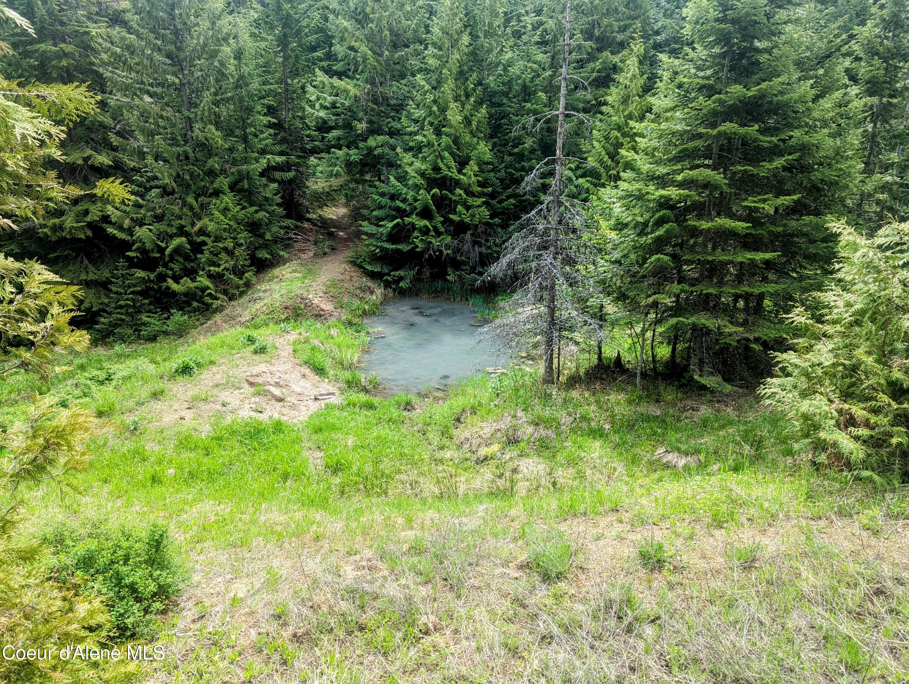 NKA Gold Ridge Road, St. Maries, Idaho image 6