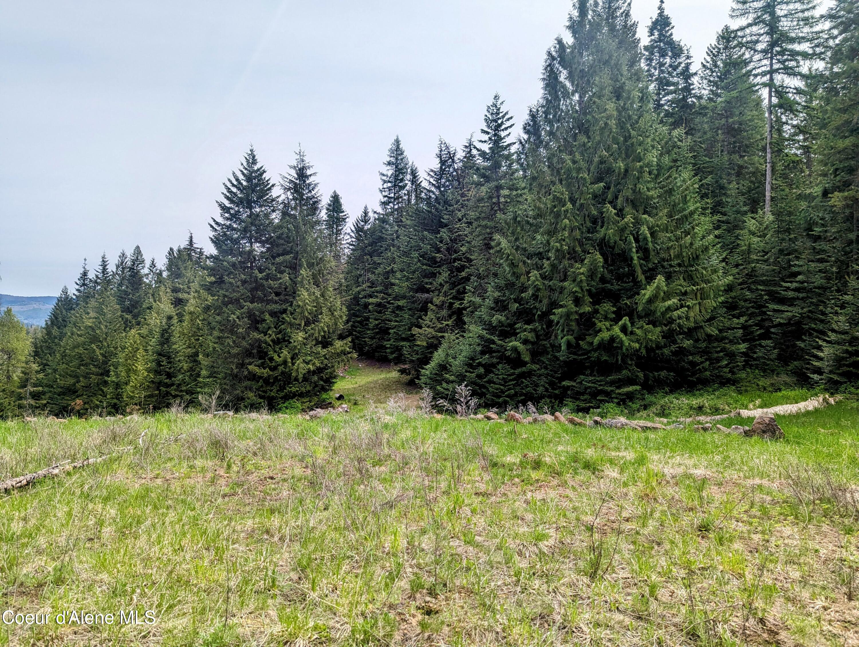 NKA Gold Ridge Road, St. Maries, Idaho image 12