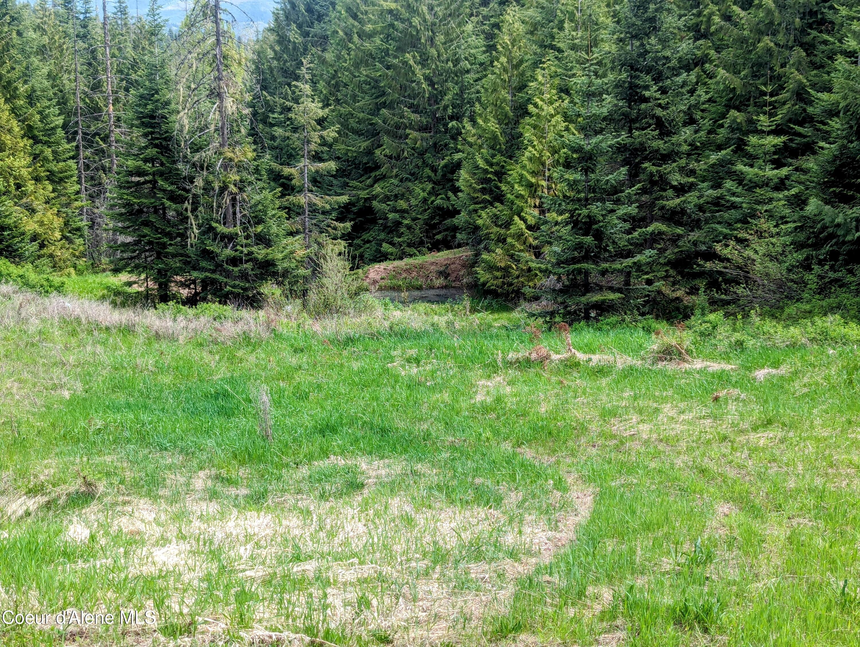 NKA Gold Ridge Road, St. Maries, Idaho image 15