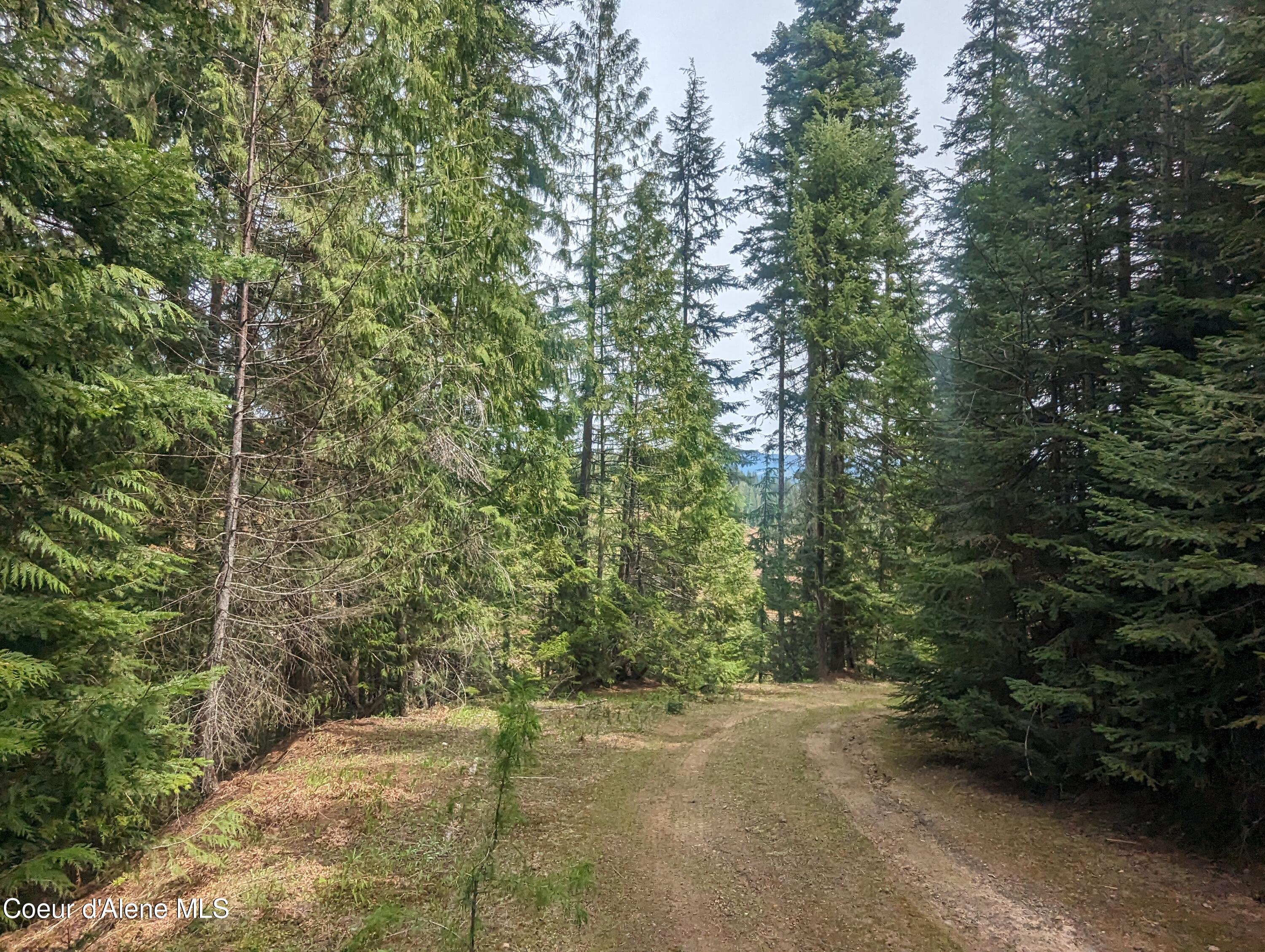 NKA Gold Ridge Road, St. Maries, Idaho image 22
