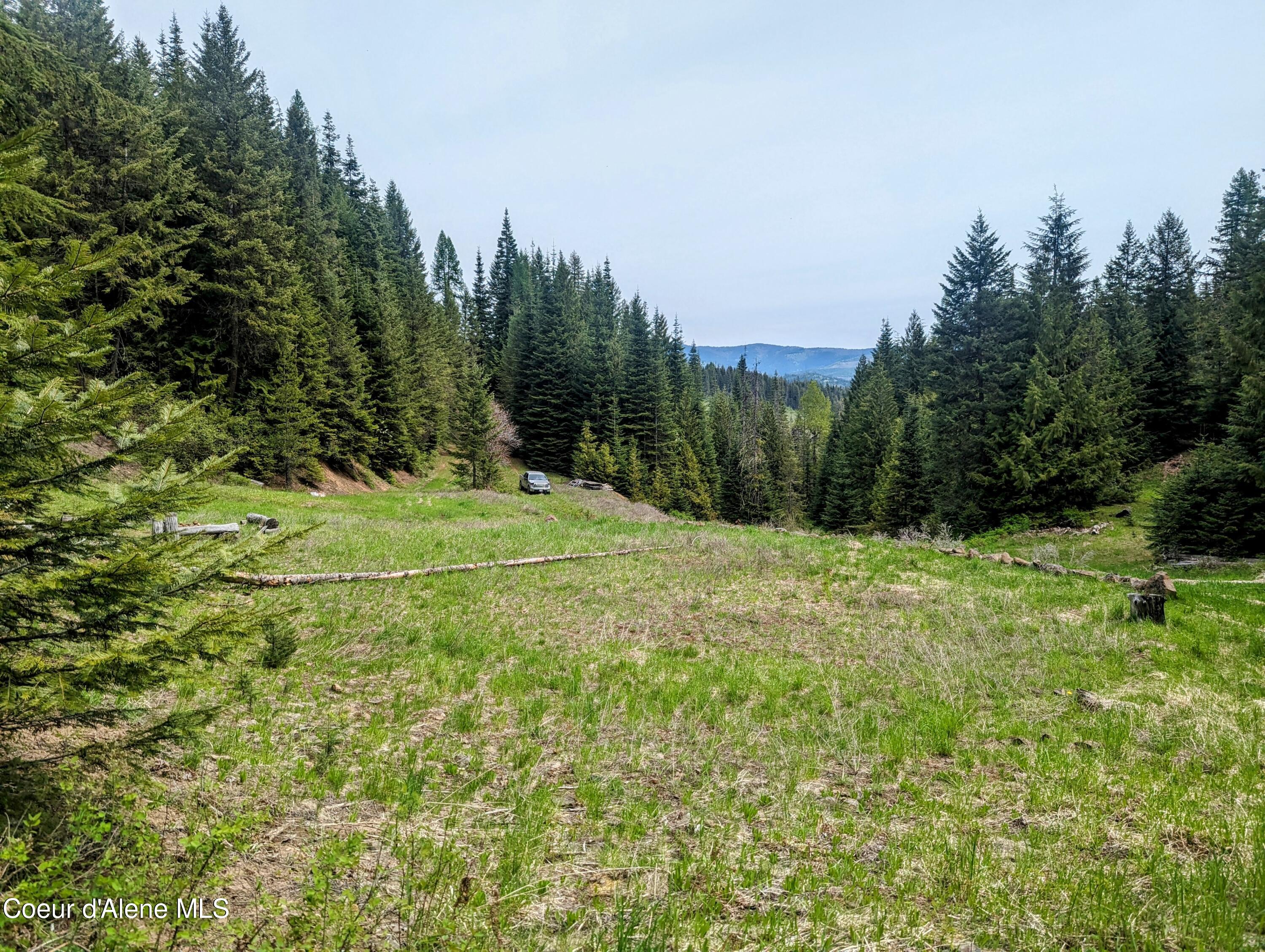 NKA Gold Ridge Road, St. Maries, Idaho image 1