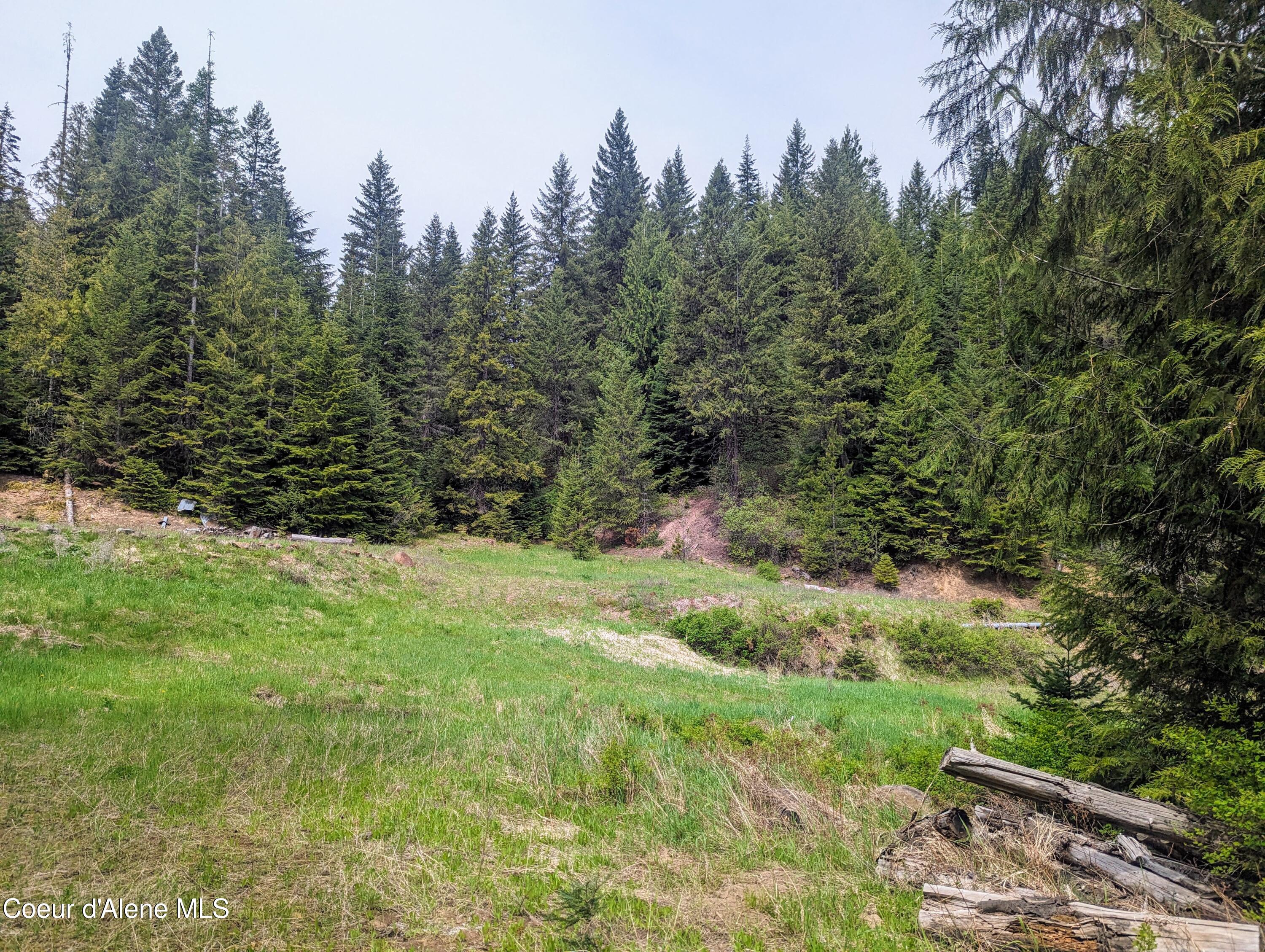 NKA Gold Ridge Road, St. Maries, Idaho image 13