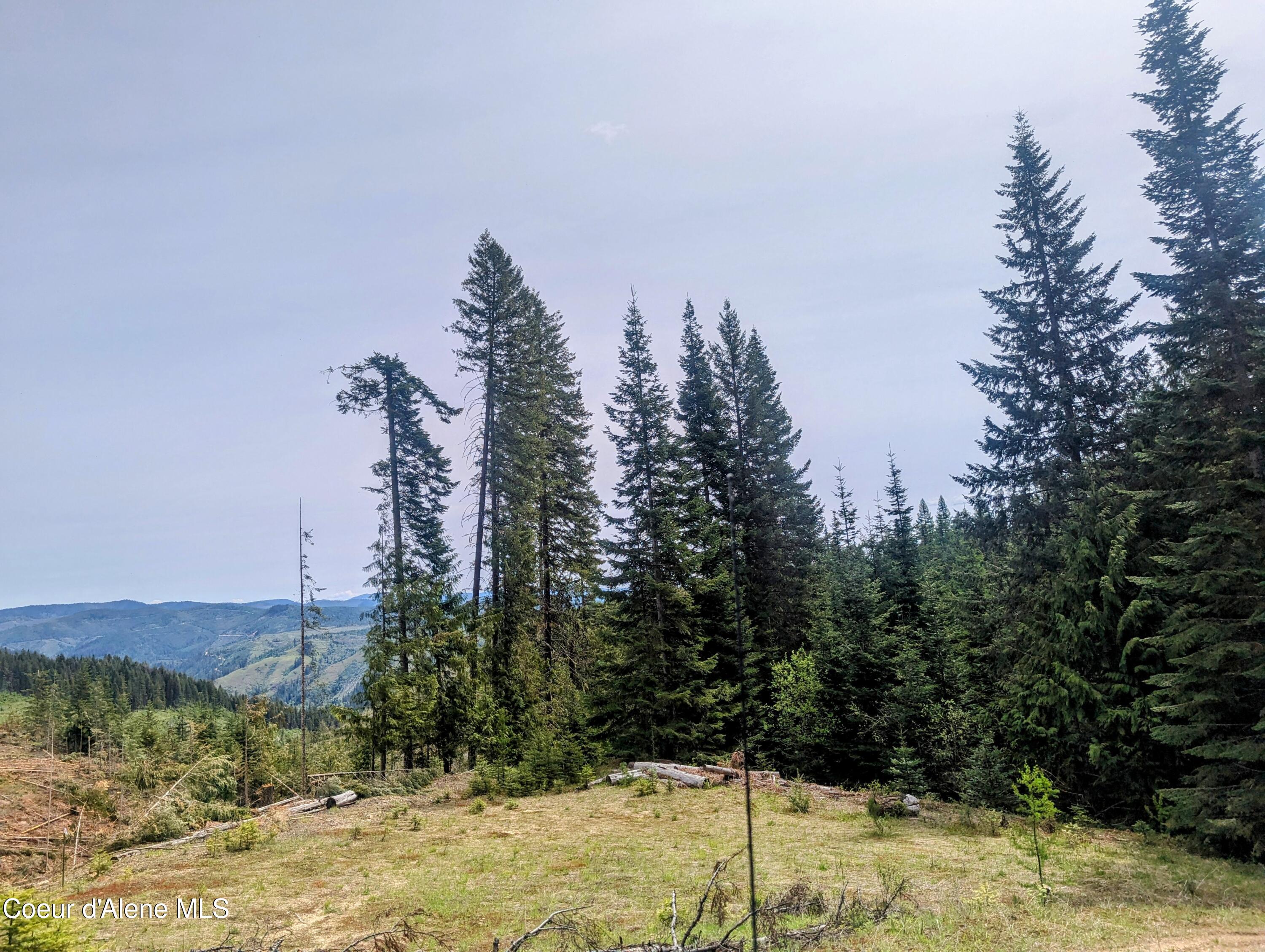 NKA Gold Ridge Road, St. Maries, Idaho image 21