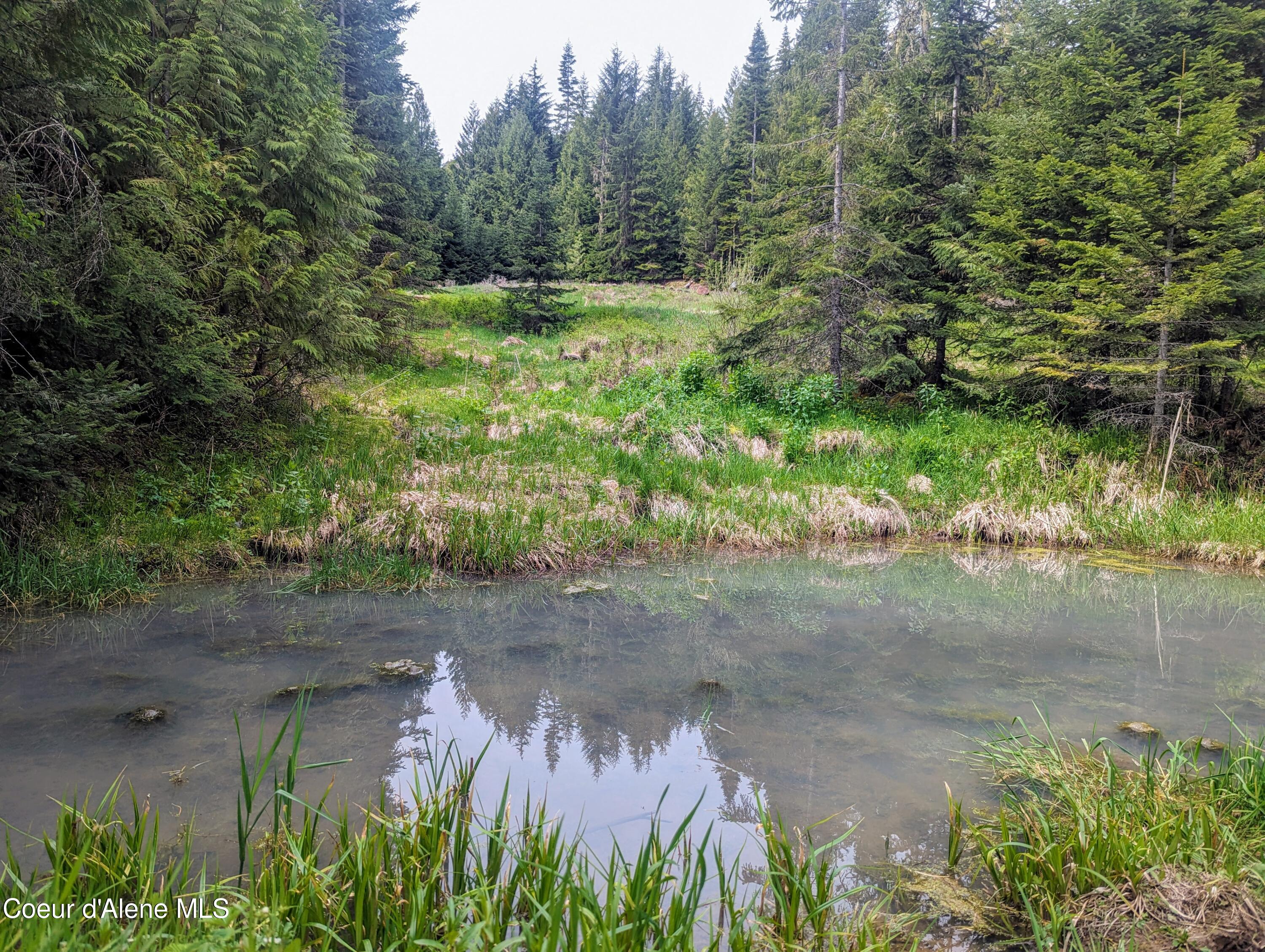 NKA Gold Ridge Road, St. Maries, Idaho image 7