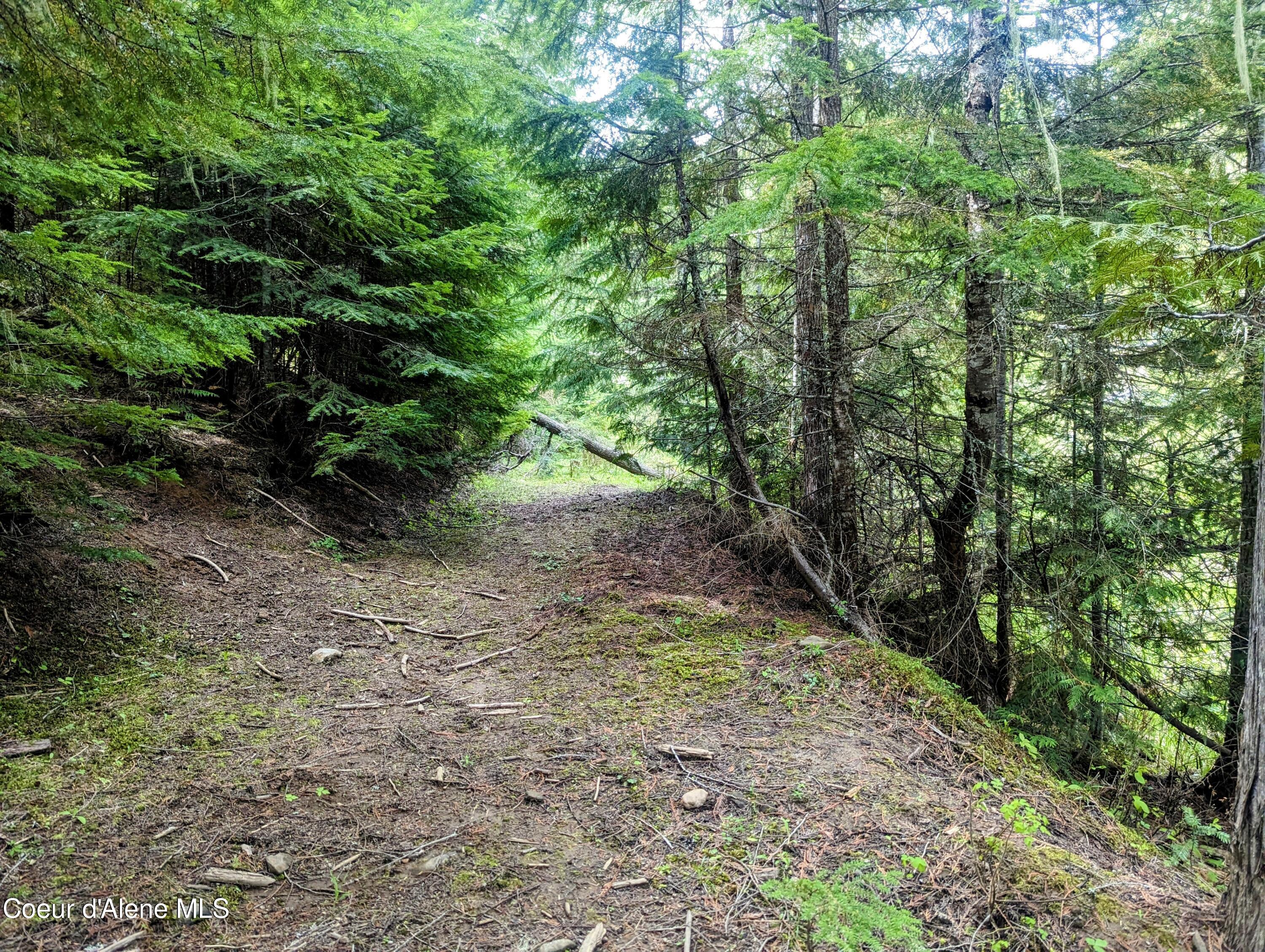 NKA Gold Ridge Road, St. Maries, Idaho image 19