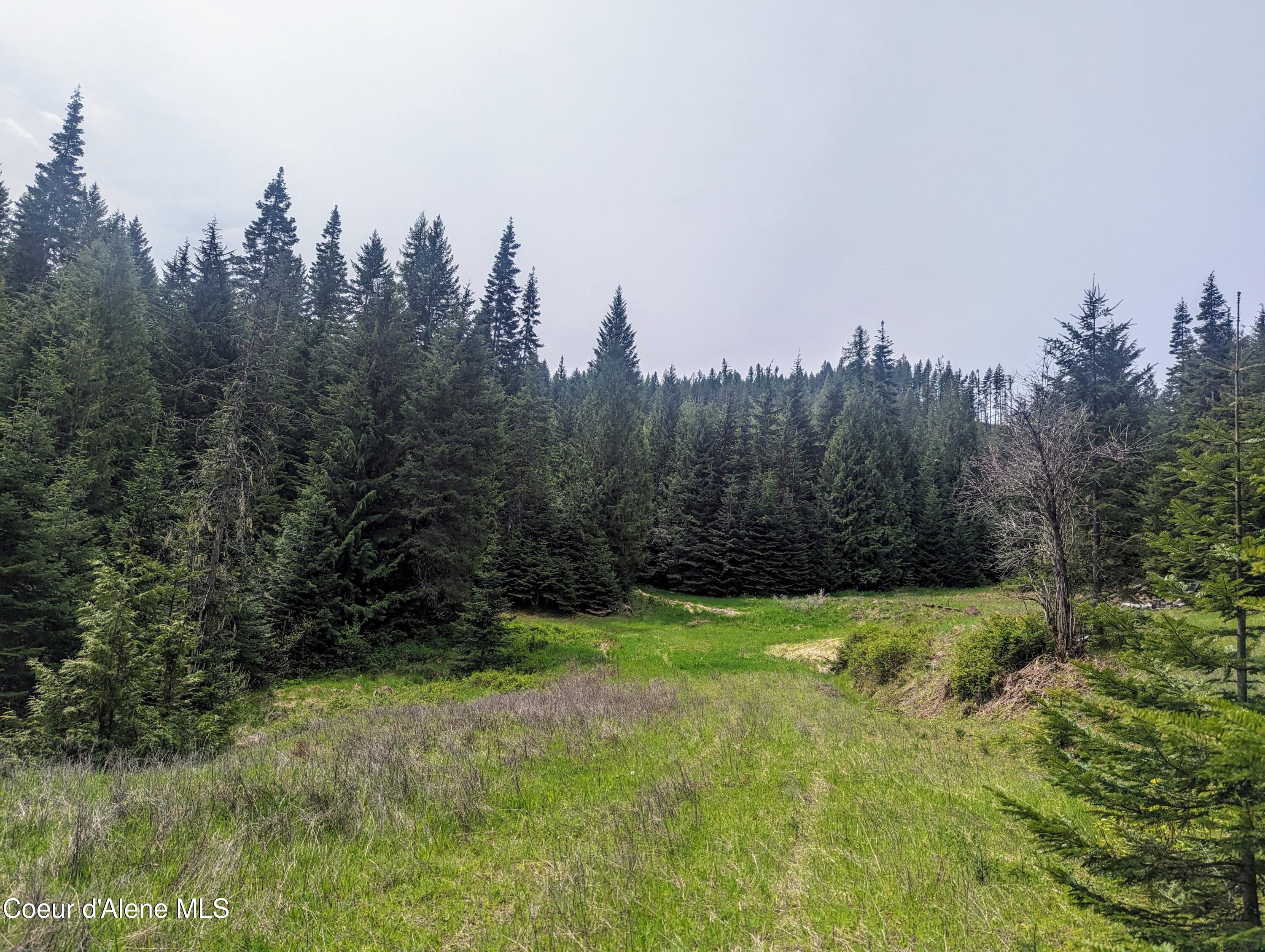 NKA Gold Ridge Road, St. Maries, Idaho image 3