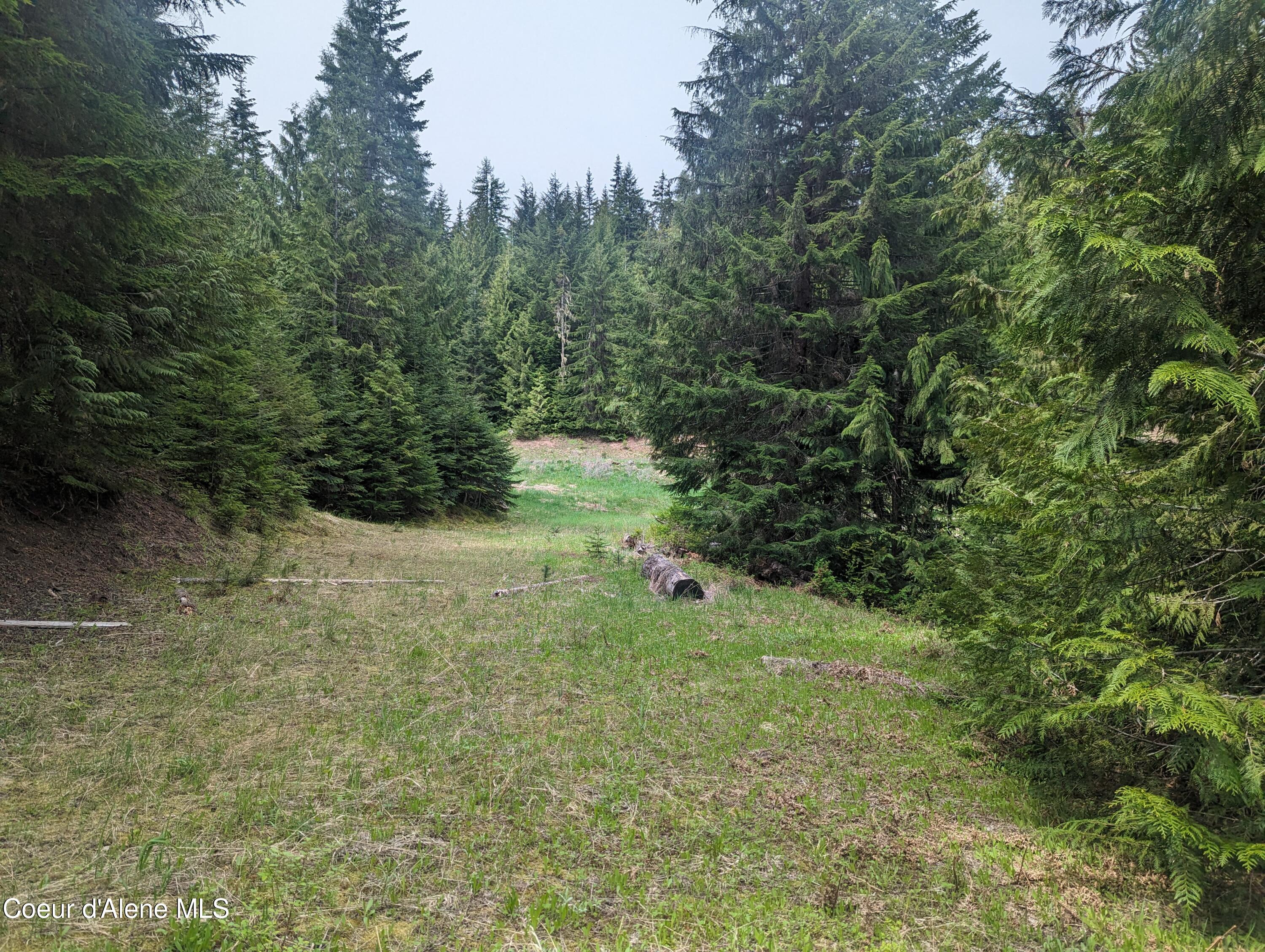 NKA Gold Ridge Road, St. Maries, Idaho image 17