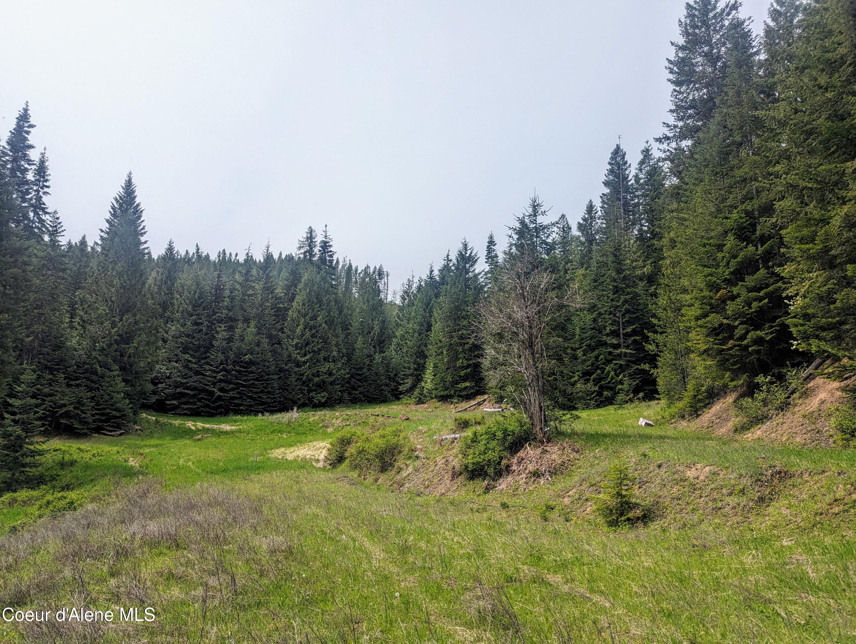 NKA Gold Ridge Road, St. Maries, Idaho image 10