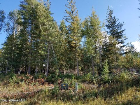 Homes For Sale - 113 Trail Blazer<br/> Pinehurst, ID 83850