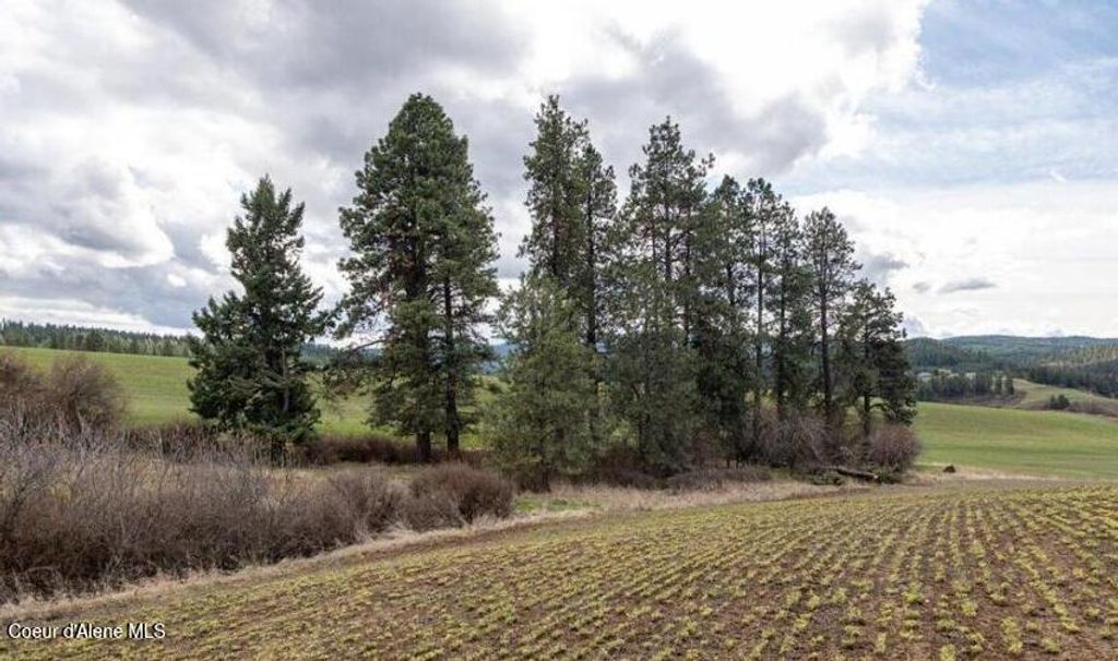 Photo of NKA Clifford, Princeton, ID 83857 (MLS # 26-4048)