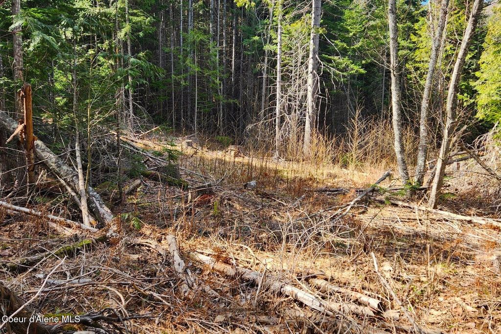 Photo of 718 Slippery Slope Lot 2 Trl, Priest River, ID 83856 (MLS # 26-3249)