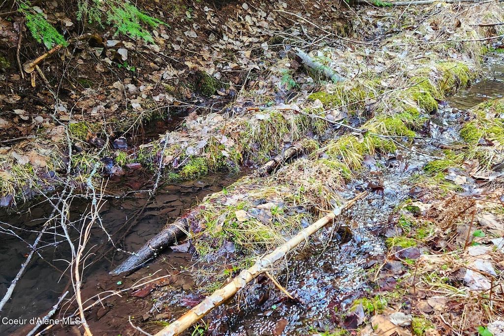 Photo of 718 Slippery Slope Lot 2 Trl, Priest River, ID 83856 (MLS # 26-3249)