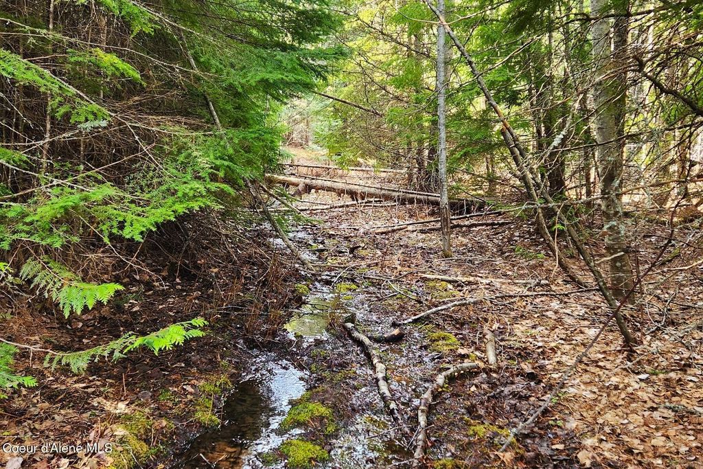 Photo of 718 Slippery Slope Lot 2 Trl, Priest River, ID 83856 (MLS # 26-3249)