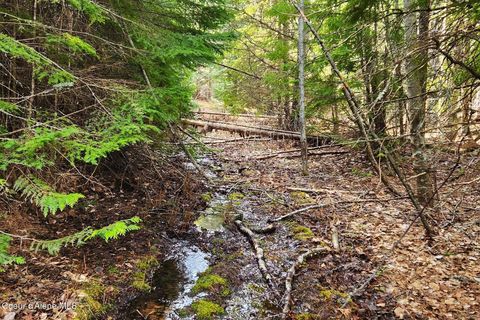 Vacant Land For Sale - 718 Slippery Slope Lot 2 Trl<br/> Priest River, ID 83856