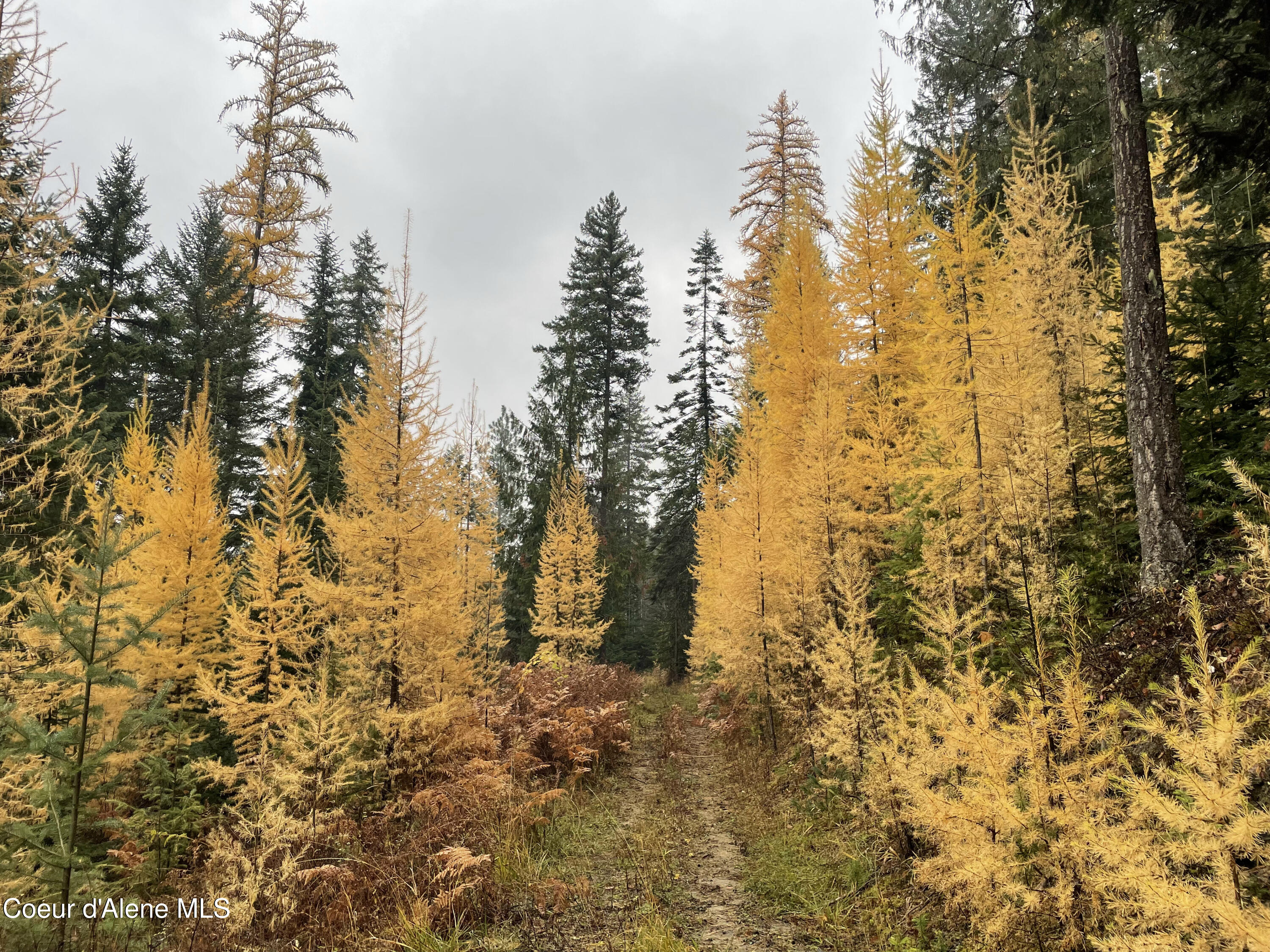 178 Twenty Mile Rd, Naples, Idaho image 28