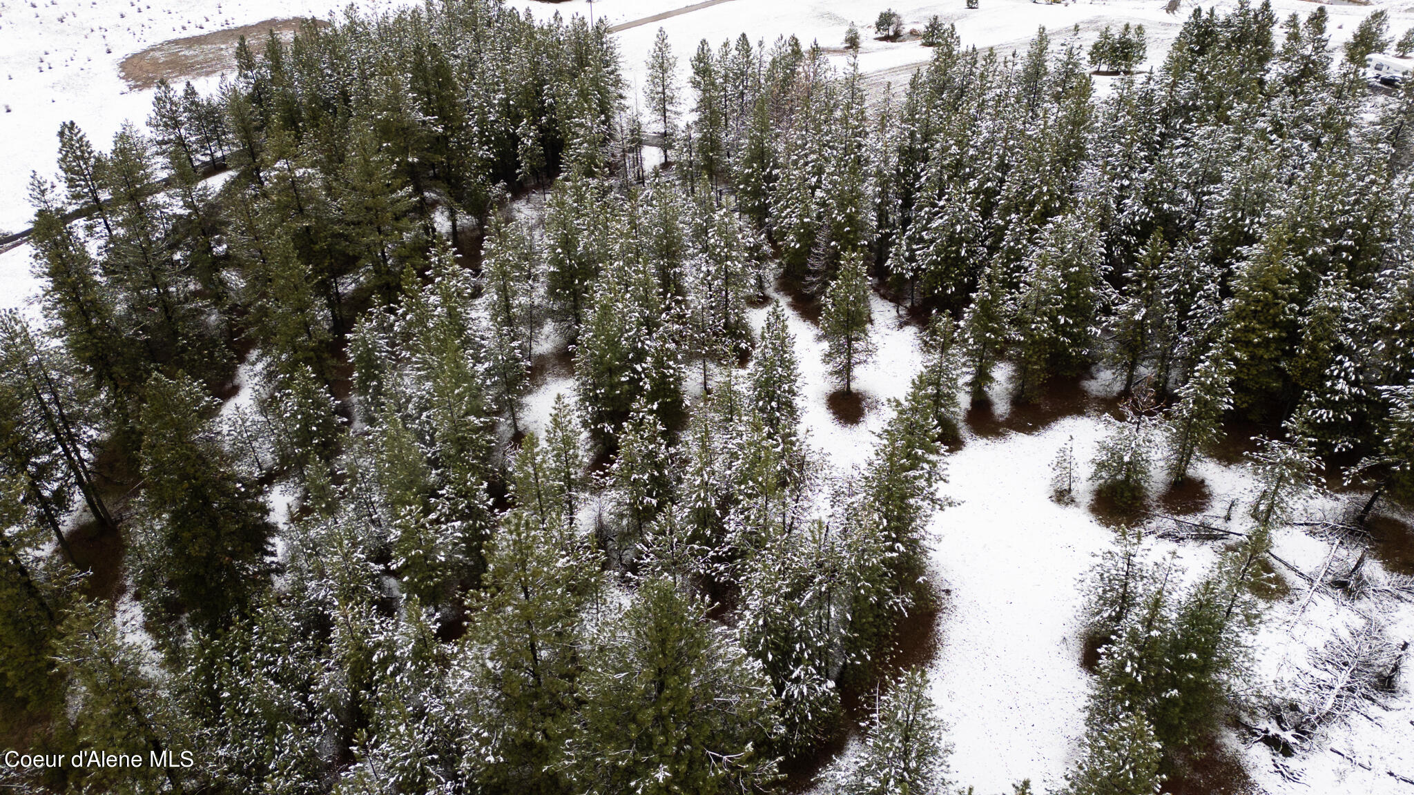 E Holiday Rd, Harrison, Idaho image 16