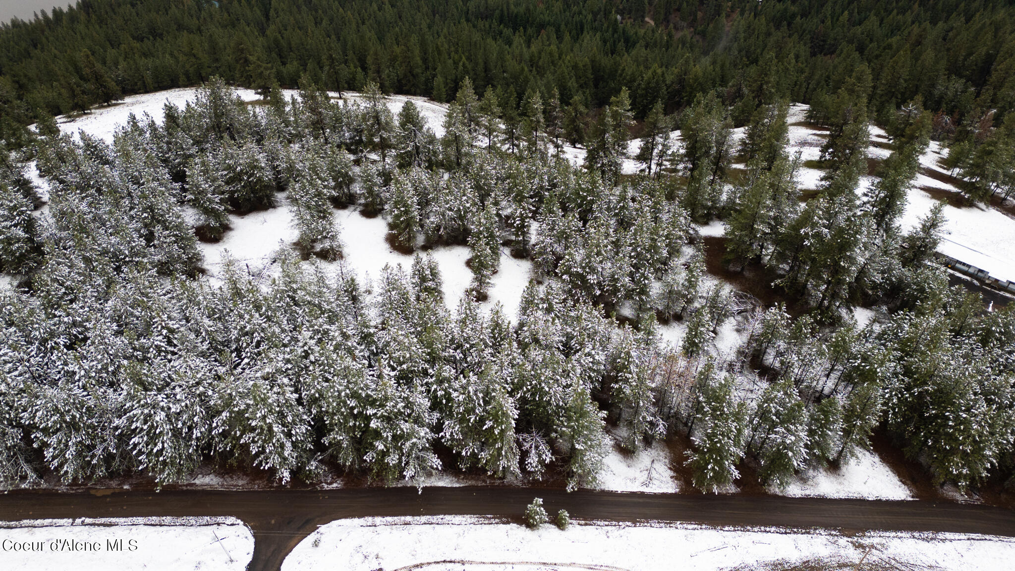E Holiday Rd, Harrison, Idaho image 5
