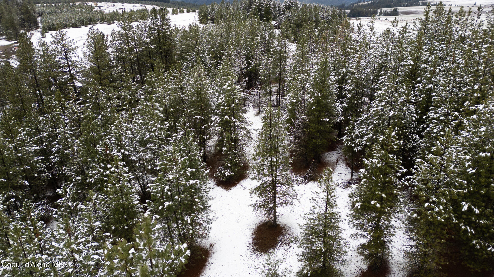 E Holiday Rd, Harrison, Idaho image 14