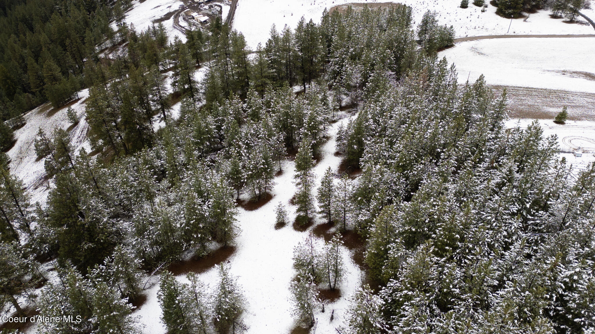 E Holiday Rd, Harrison, Idaho image 12