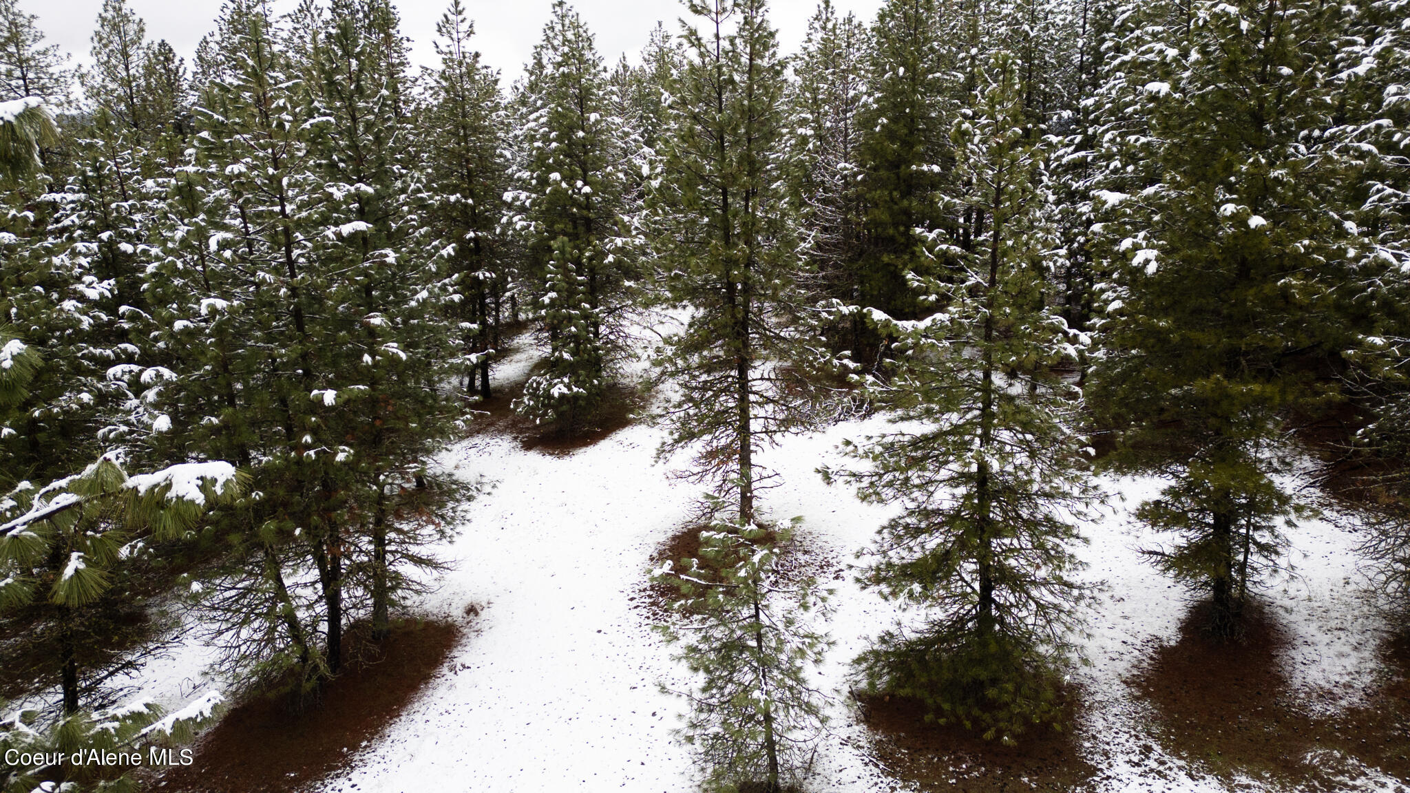 E Holiday Rd, Harrison, Idaho image 15