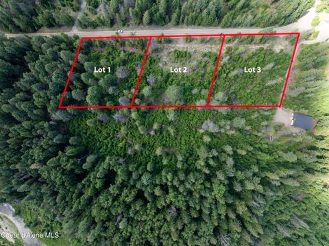 Vacant Land For Sale - LOT 3 Peirone Estates Estates<br/> Bonner County, Nordman, ID 83848
