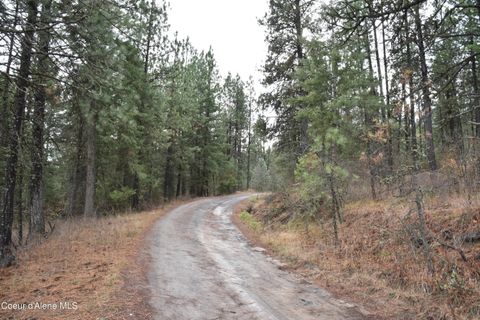 Vacant Land For Sale - NKA Shady Ln Ln<br/> Desmet, ID 83824