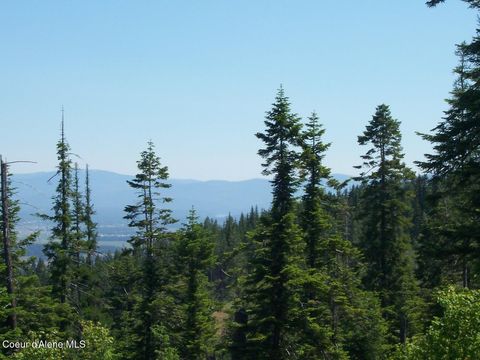 Vacant Land For Sale - NNA Mellick<br/> Post Falls, ID 83854