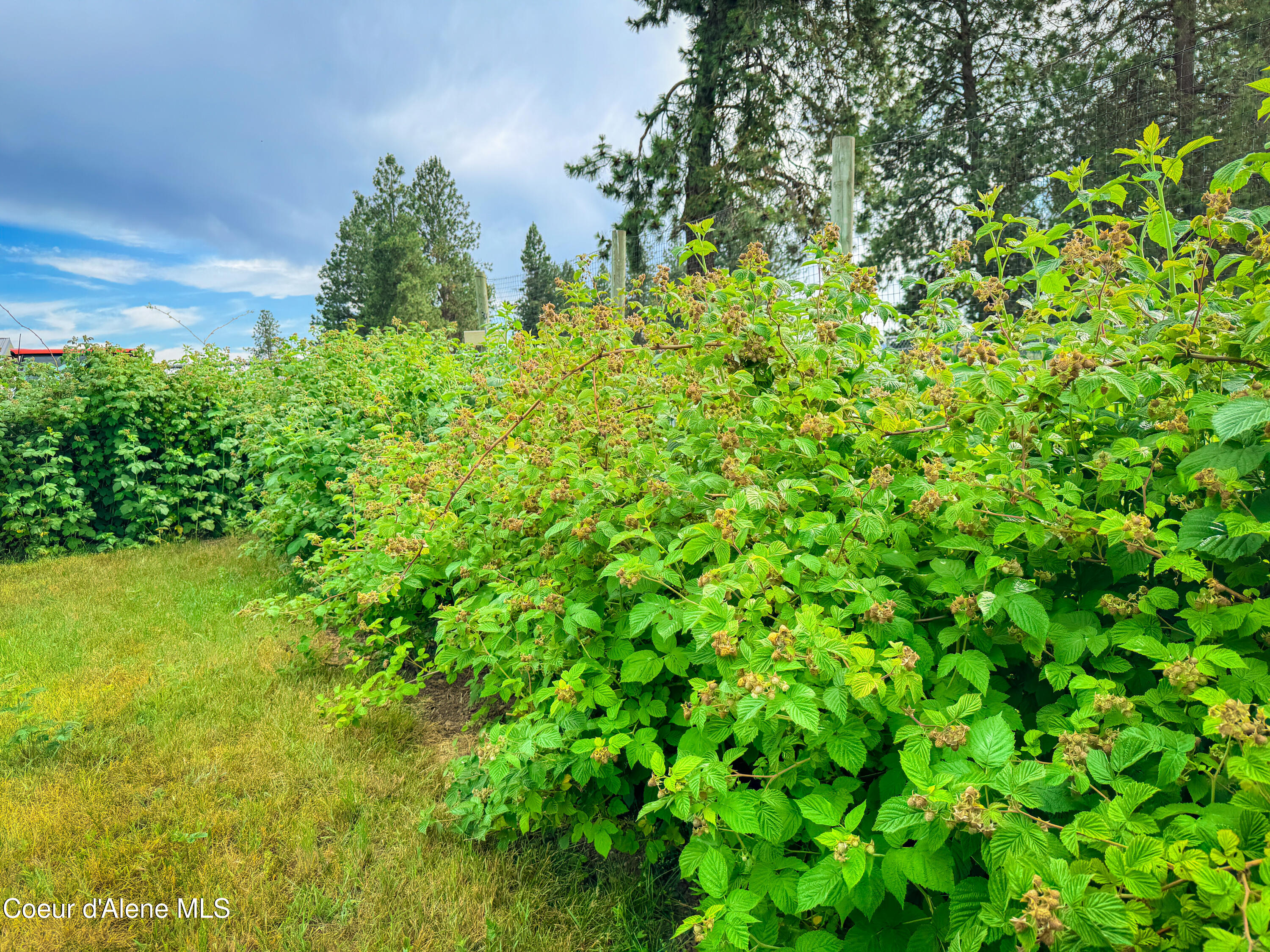 Hayden, Idaho 83835, United States, 4 Bedrooms Bedrooms, ,3 BathroomsBathrooms,Residential,Active,157218
