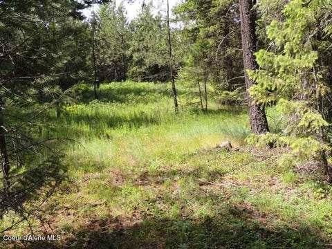 Vacant Land For Sale - NKA Antler<br/> Bonner County, Spirit Lake, ID 83869