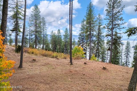 Vacant Land For Sale - NNA Green Monarch Lane Lane<br/> Hope, ID 83836