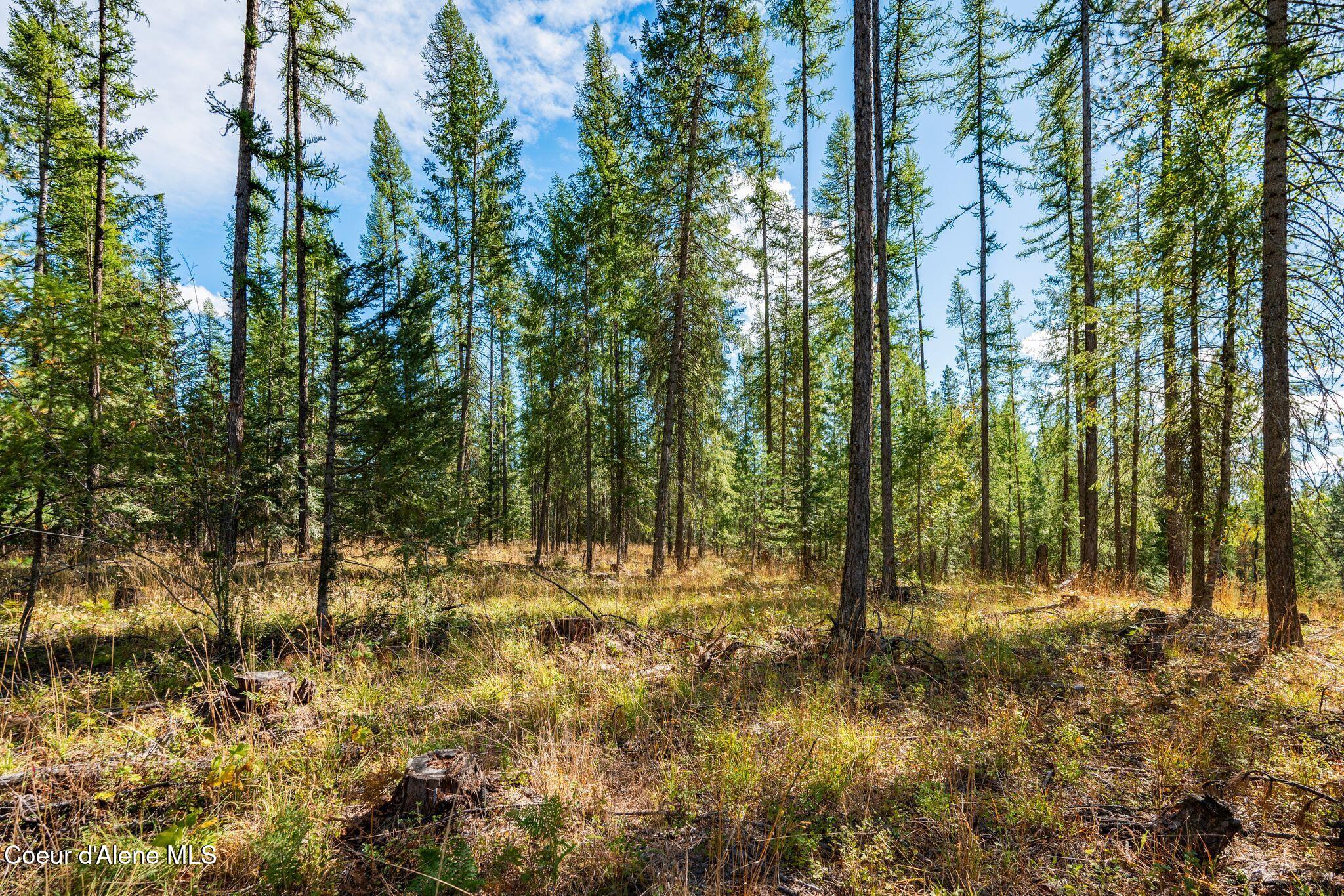 Lot 2 E Gunsmoke Lane, Priest River, Idaho image 5