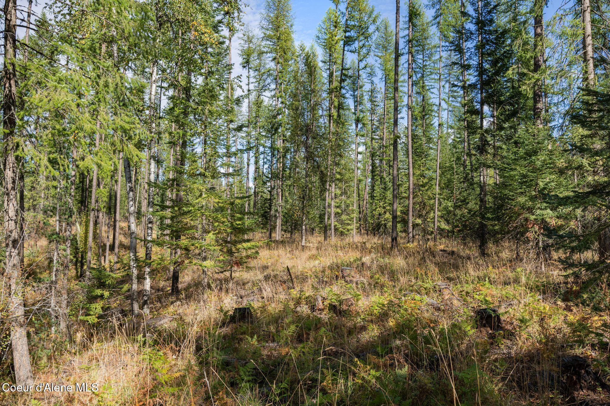 Lot 2 E Gunsmoke Lane, Priest River, Idaho image 2