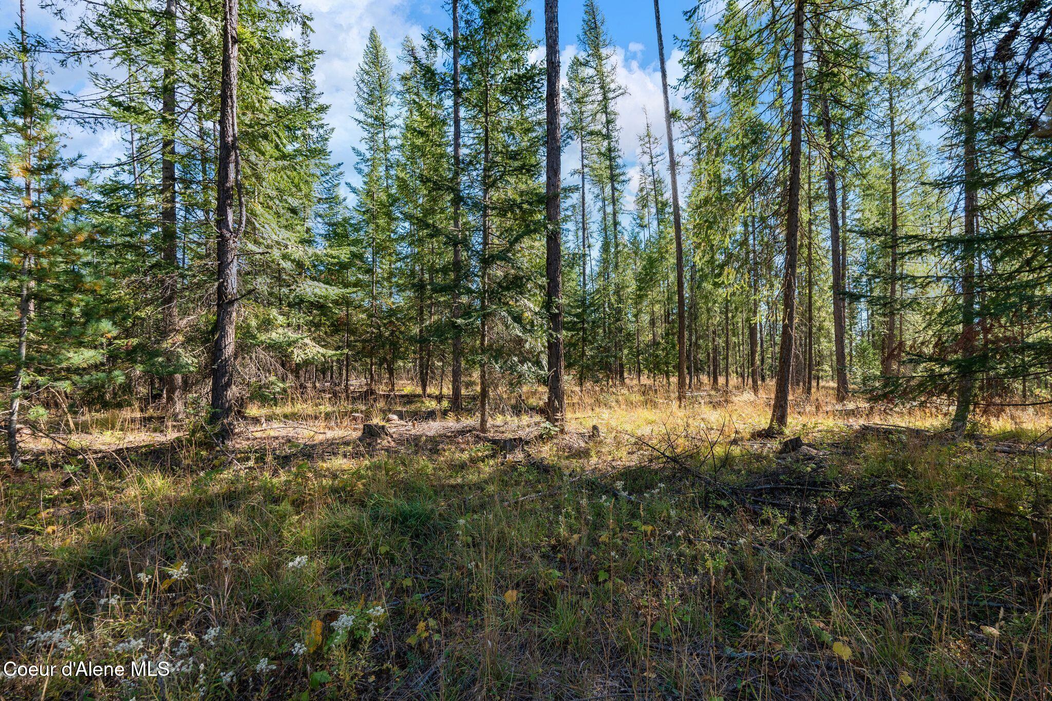 Lot 2 E Gunsmoke Lane, Priest River, Idaho image 6