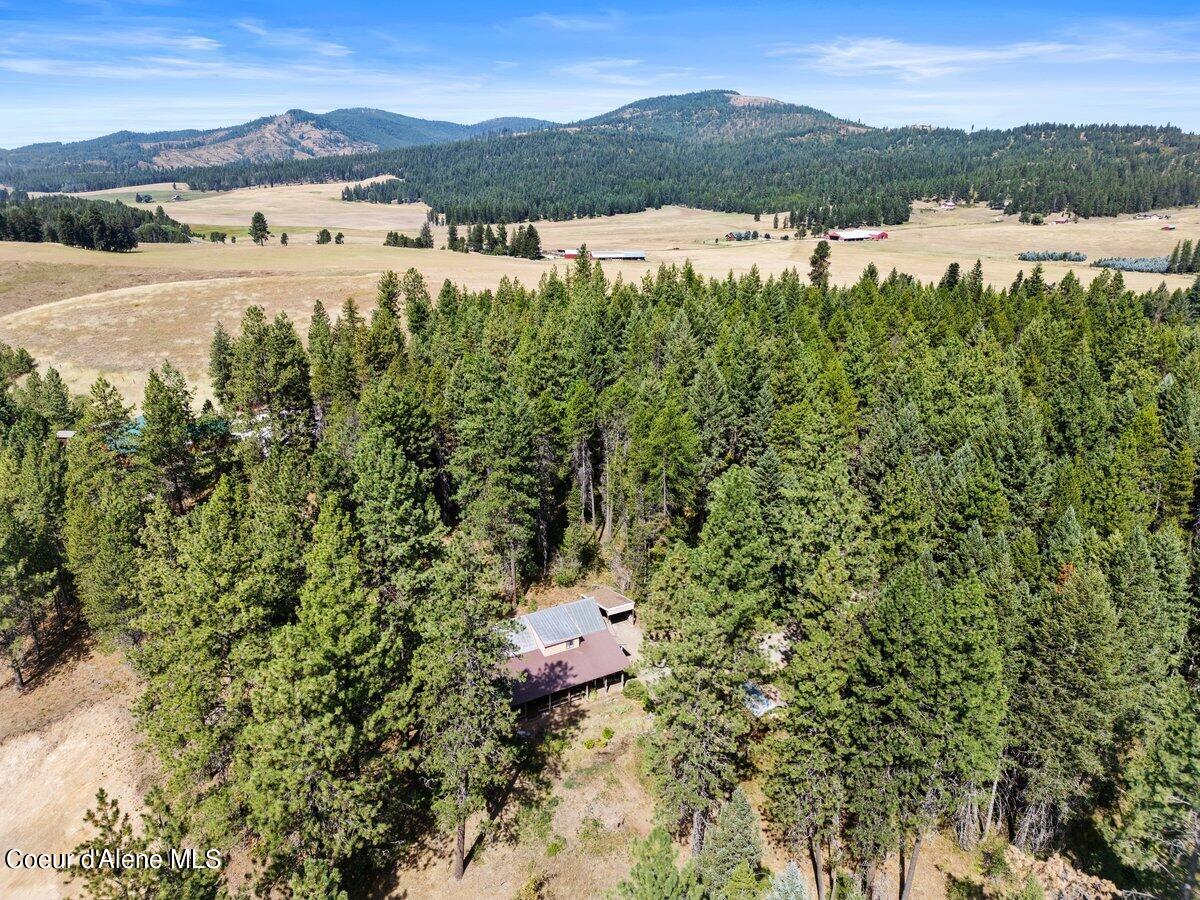 700 Deer Trail Rd, Blanchard, Idaho image 37