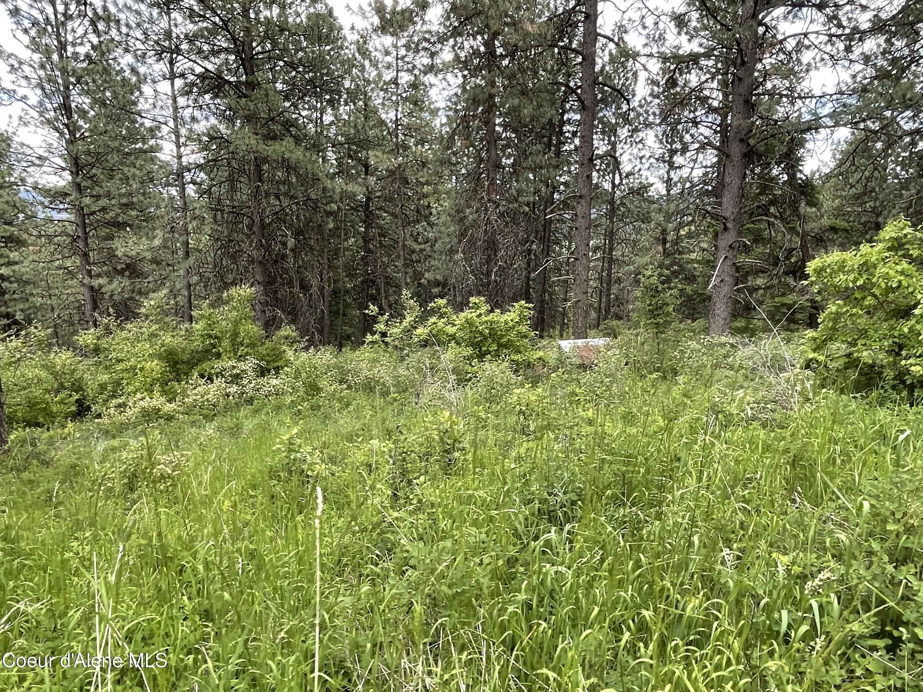 1221 S Shady Ln, Desmet, Alaska image 10