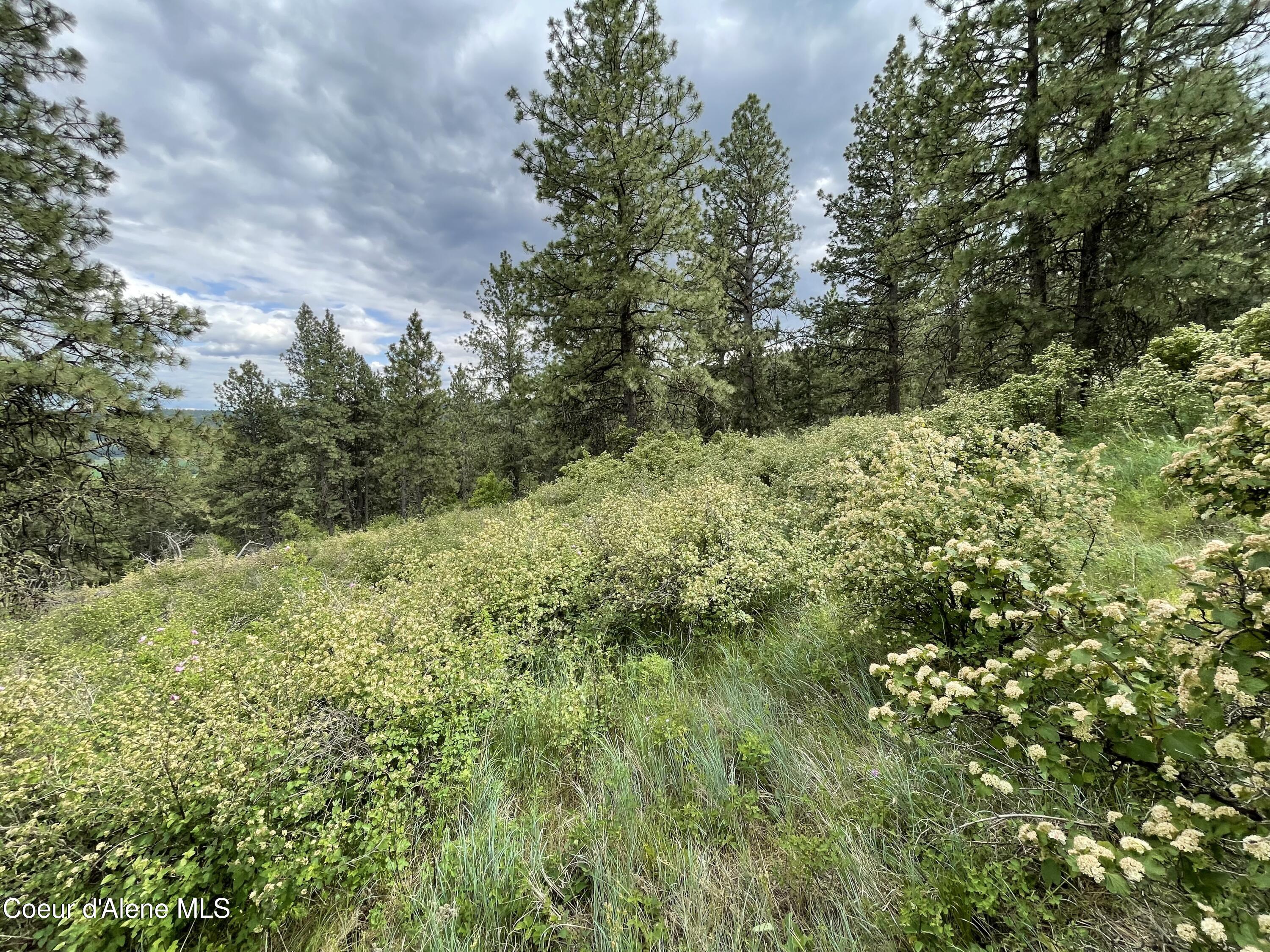 1221 S Shady Ln, Desmet, Alaska image 18