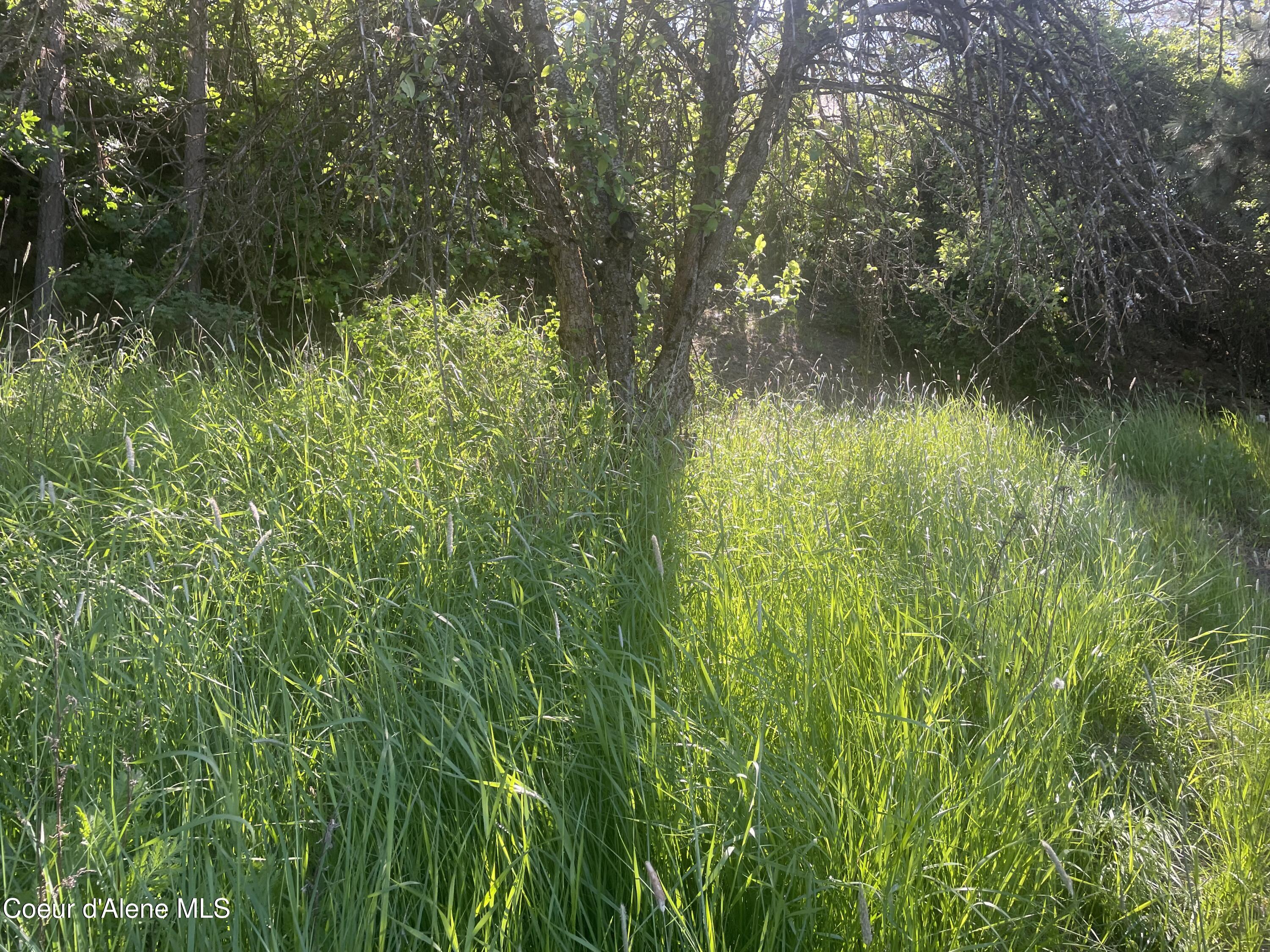 1221 S Shady Ln, Desmet, Alaska image 4