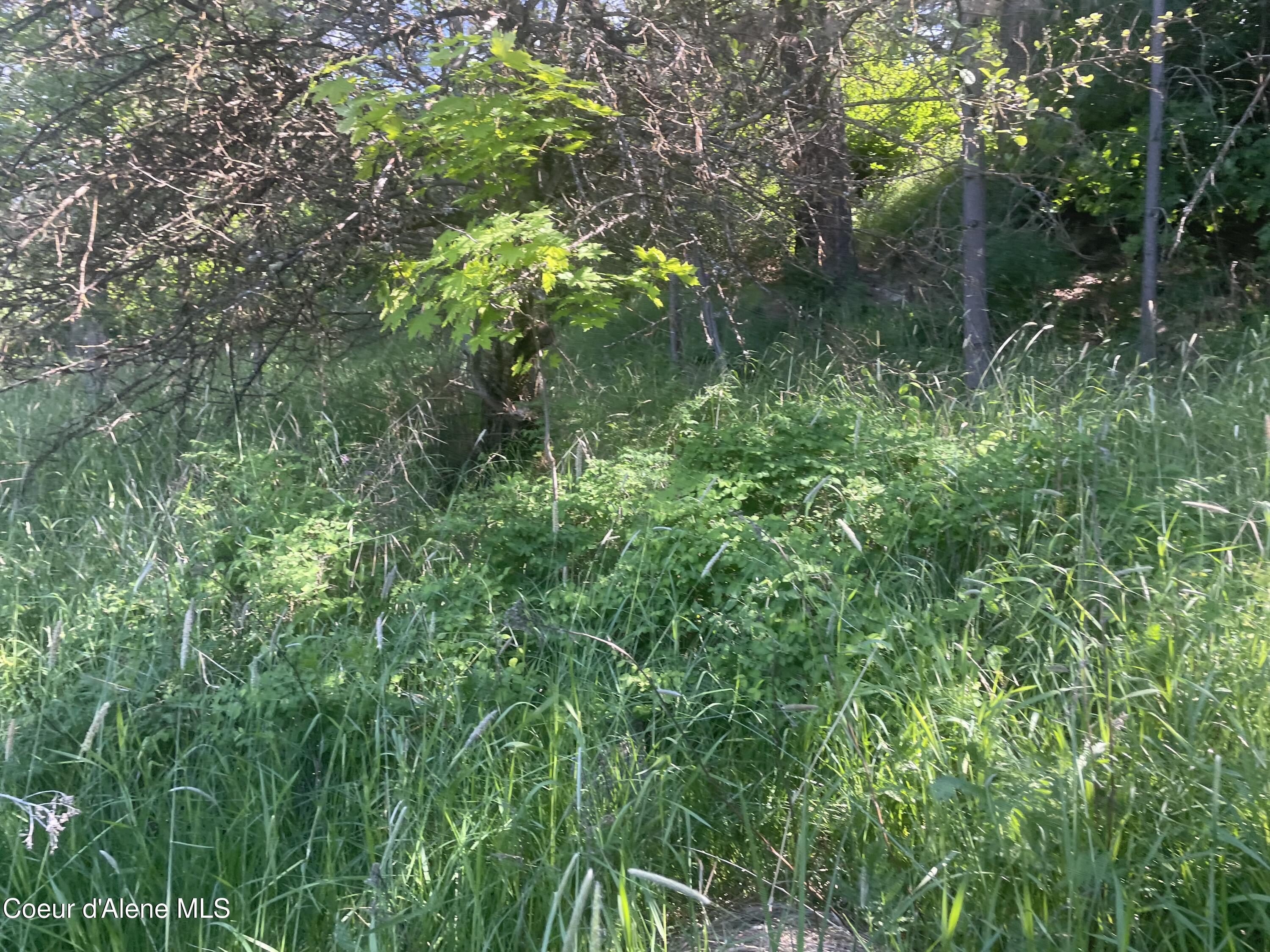 1221 S Shady Ln, Desmet, Alaska image 7