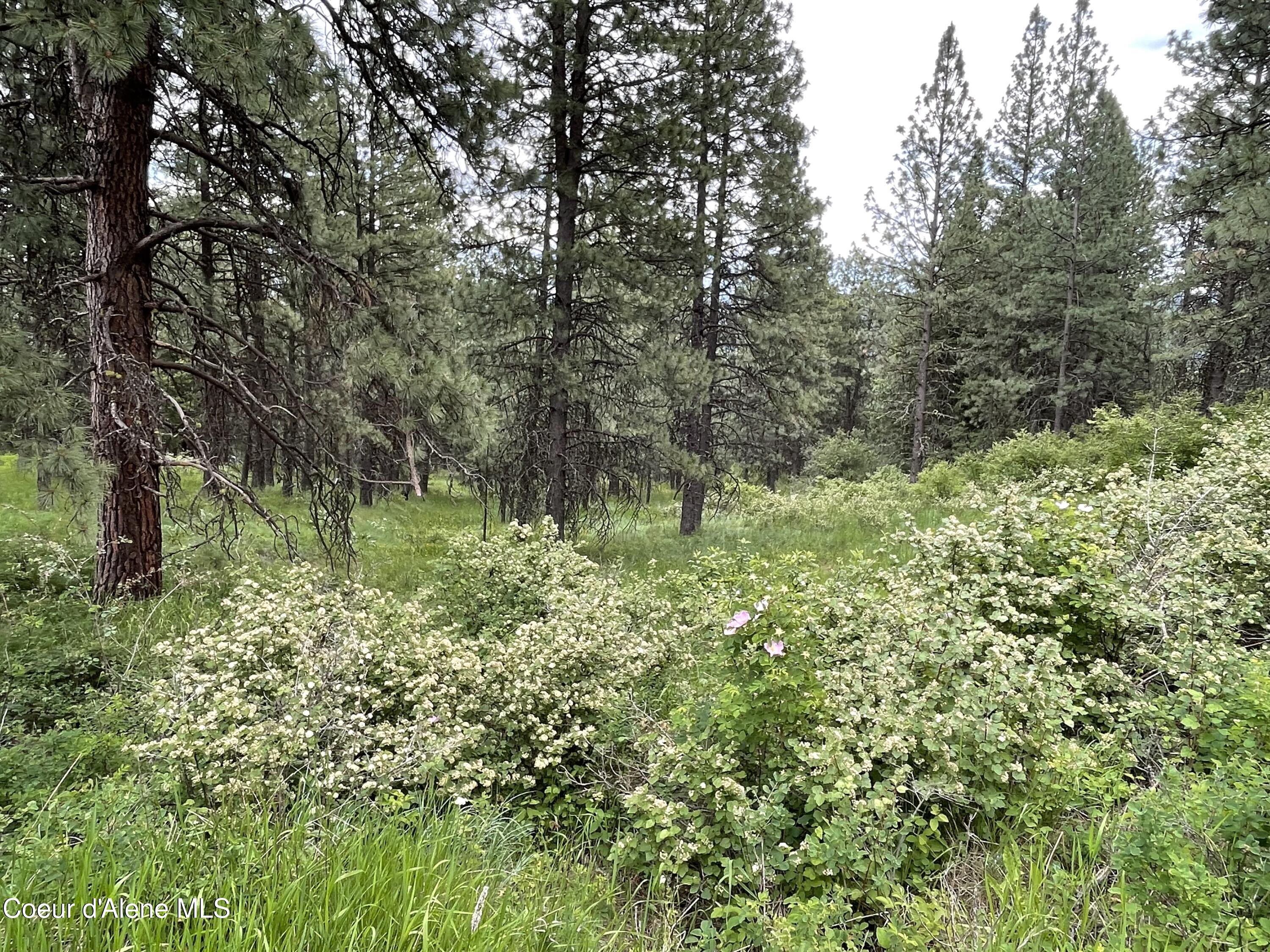 1221 S Shady Ln, Desmet, Alaska image 9