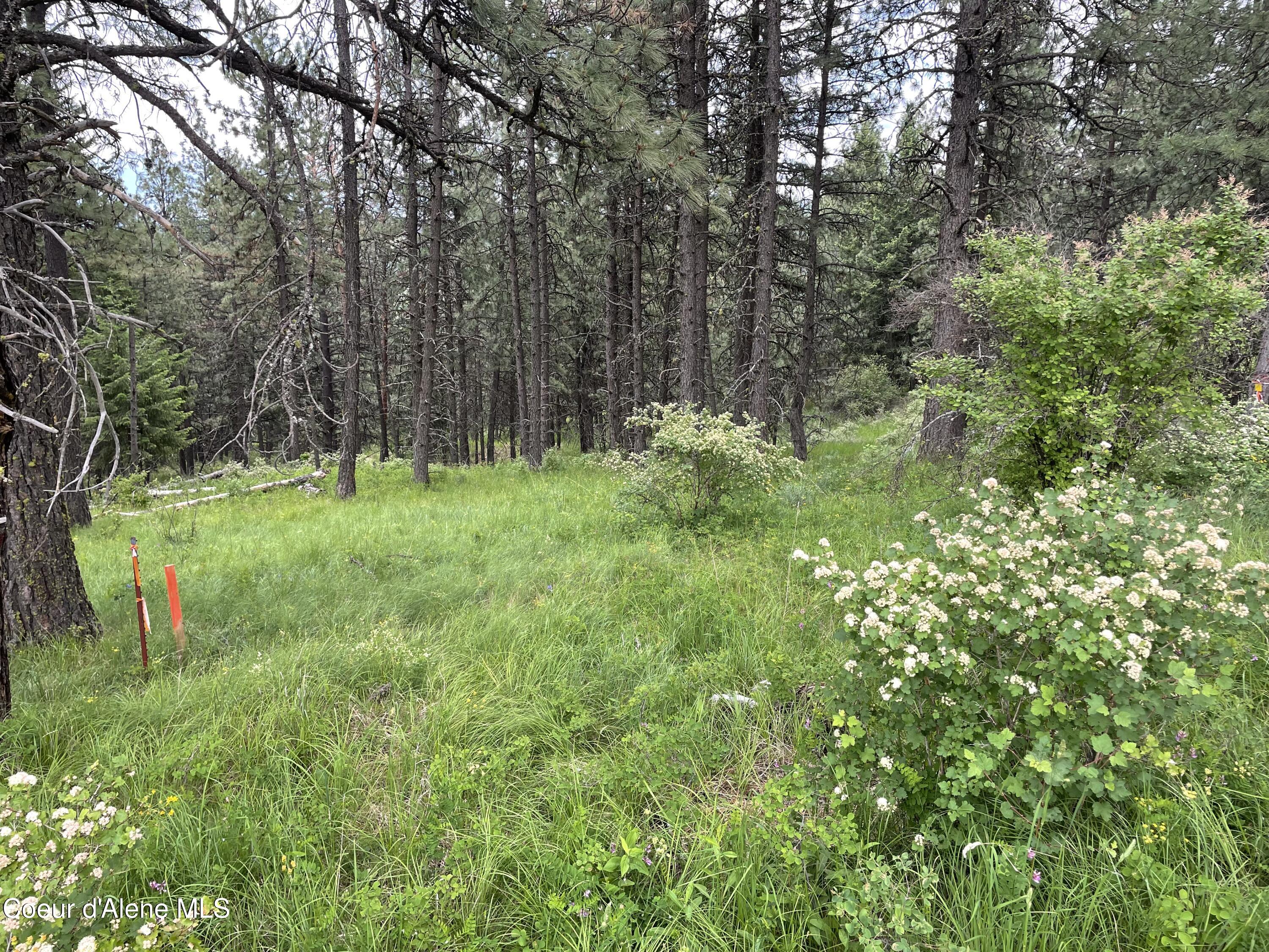 1221 S Shady Ln, Desmet, Alaska image 6