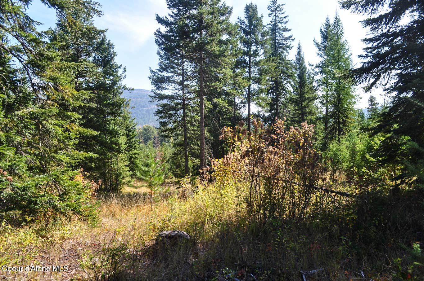 244 N Culvert Ln, Bonners Ferry, Texas image 37