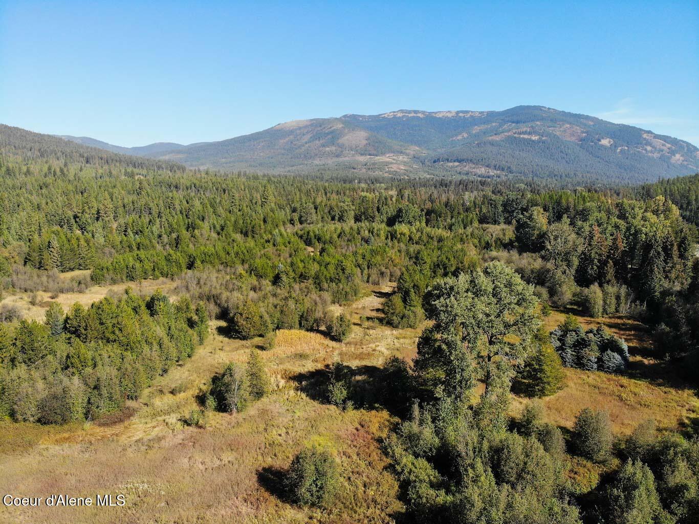 244 N Culvert Ln, Bonners Ferry, Texas image 23