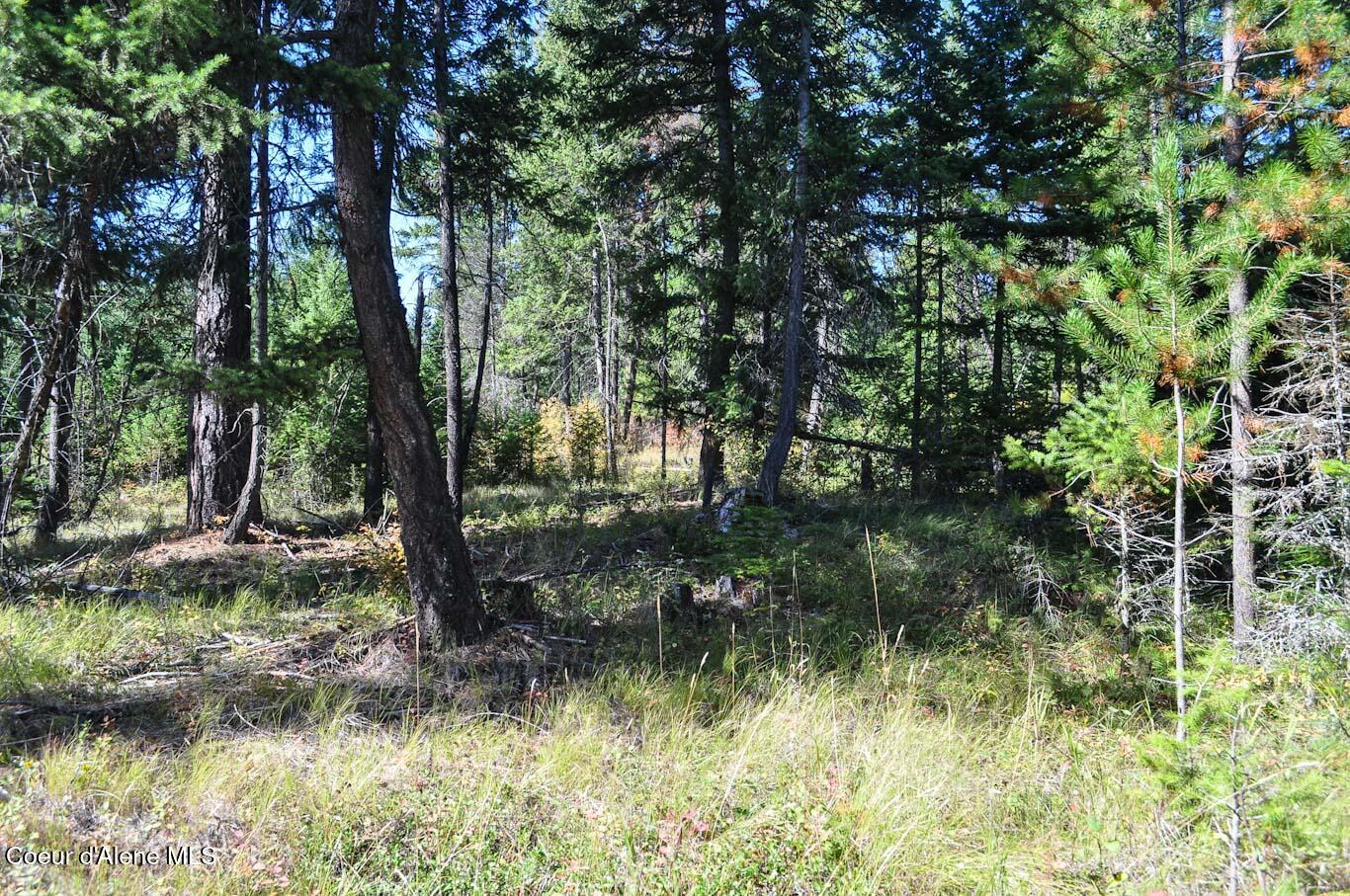 244 N Culvert Ln, Bonners Ferry, Texas image 38