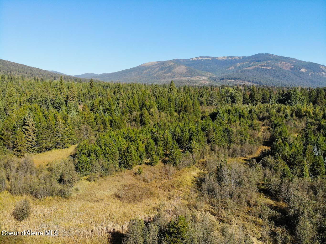 244 N Culvert Ln, Bonners Ferry, Texas image 32