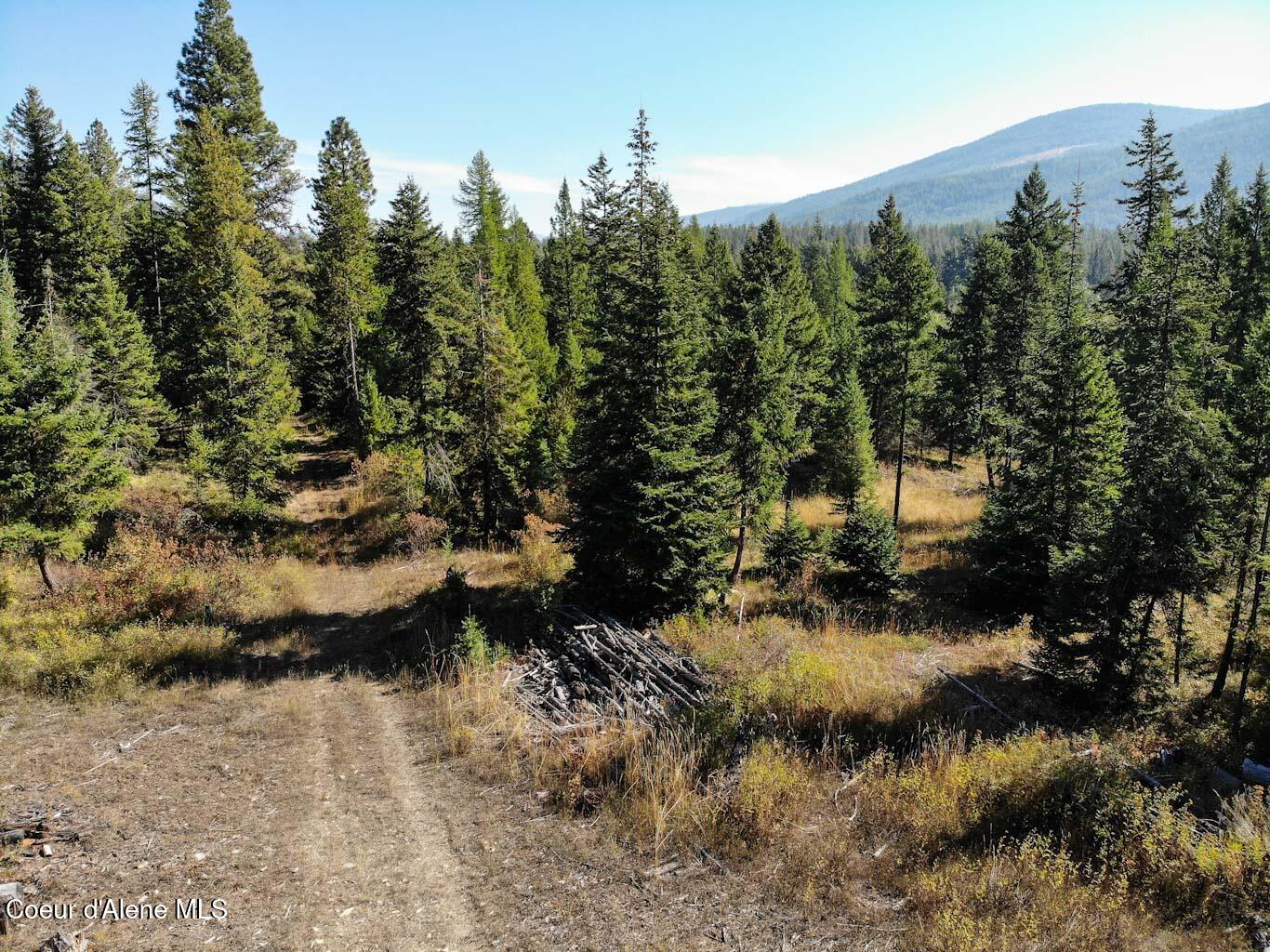 244 N Culvert Ln, Bonners Ferry, Texas image 17