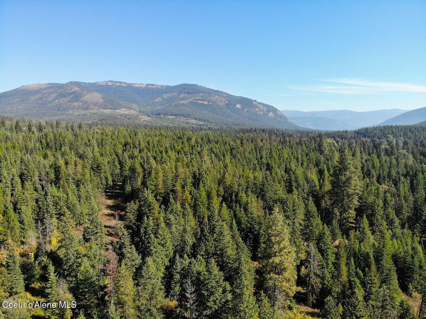 244 N Culvert Ln, Bonners Ferry, Texas image 27